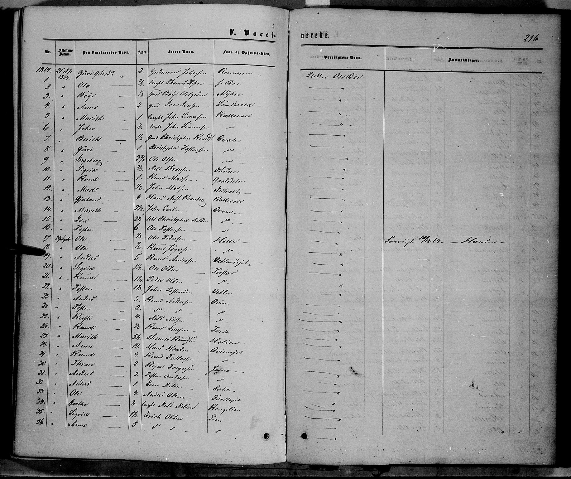 Vang prestekontor, Valdres, SAH/PREST-140/H/Ha/L0007: Parish register (official) no. 7, 1865-1881, p. 216
