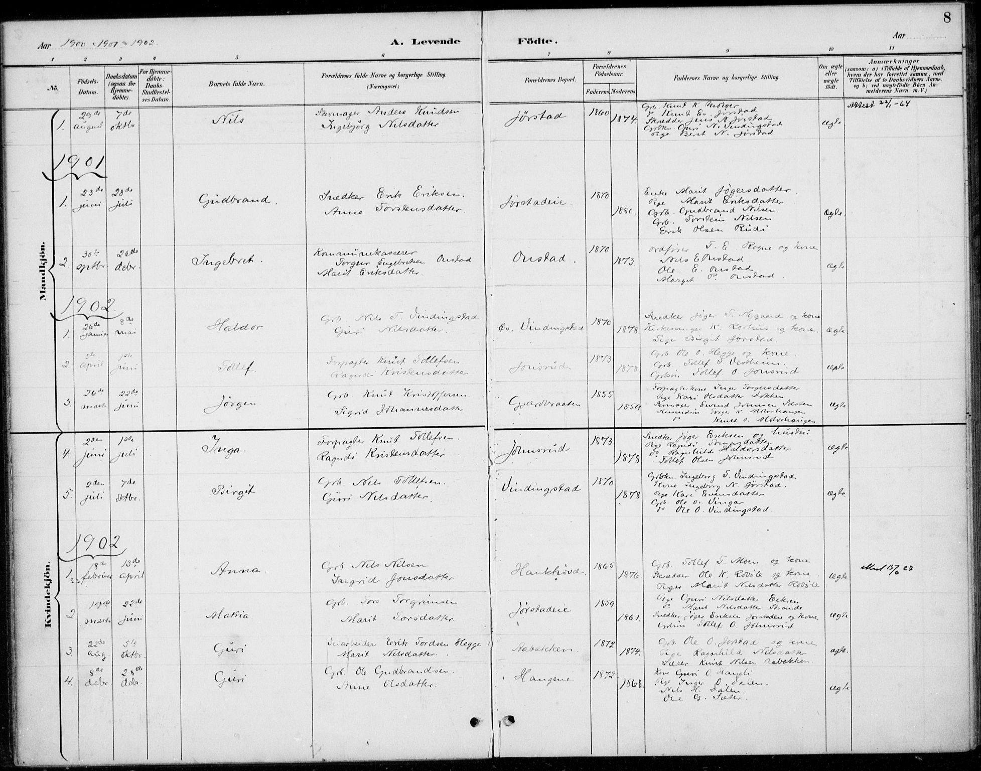 Øystre Slidre prestekontor, SAH/PREST-138/H/Ha/Haa/L0005: Parish register (official) no. 5, 1887-1916, p. 8