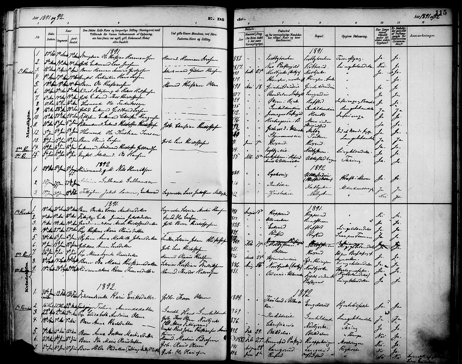 Nannestad prestekontor Kirkebøker, SAO/A-10414a/F/Fa/L0015: Parish register (official) no. I 15, 1891-1905, p. 115