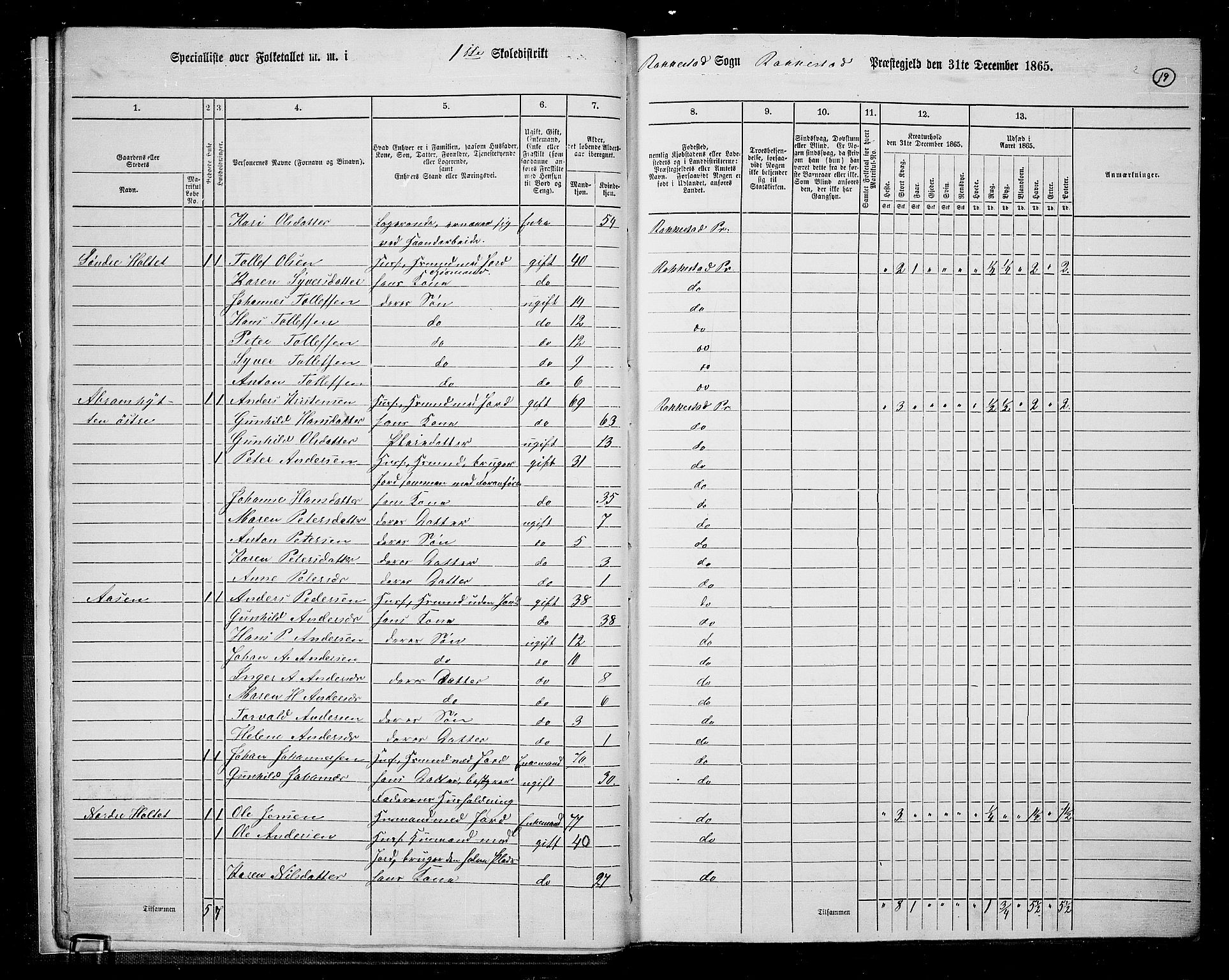 RA, 1865 census for Rakkestad, 1865, p. 20