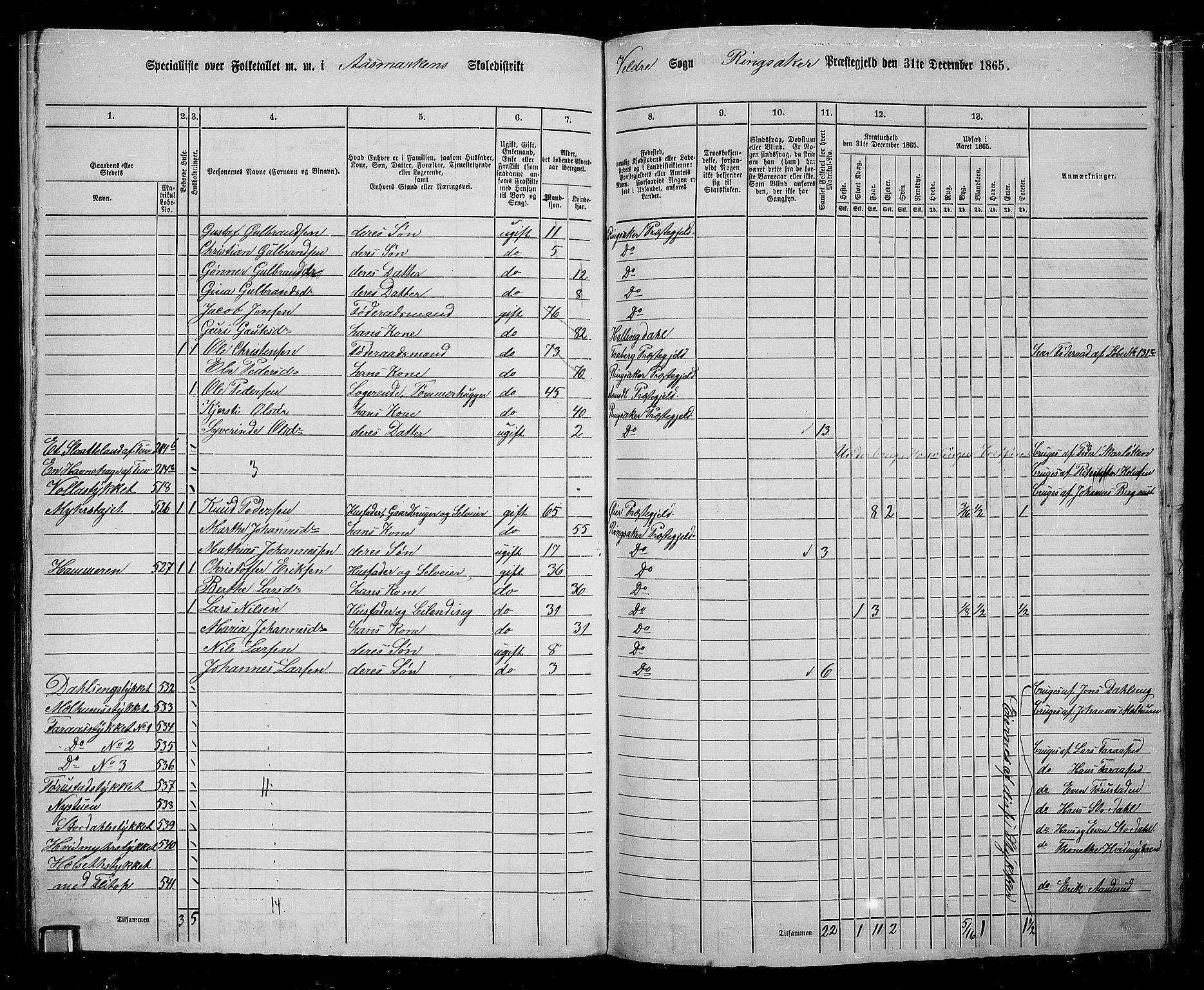 RA, 1865 census for Ringsaker, 1865, p. 226