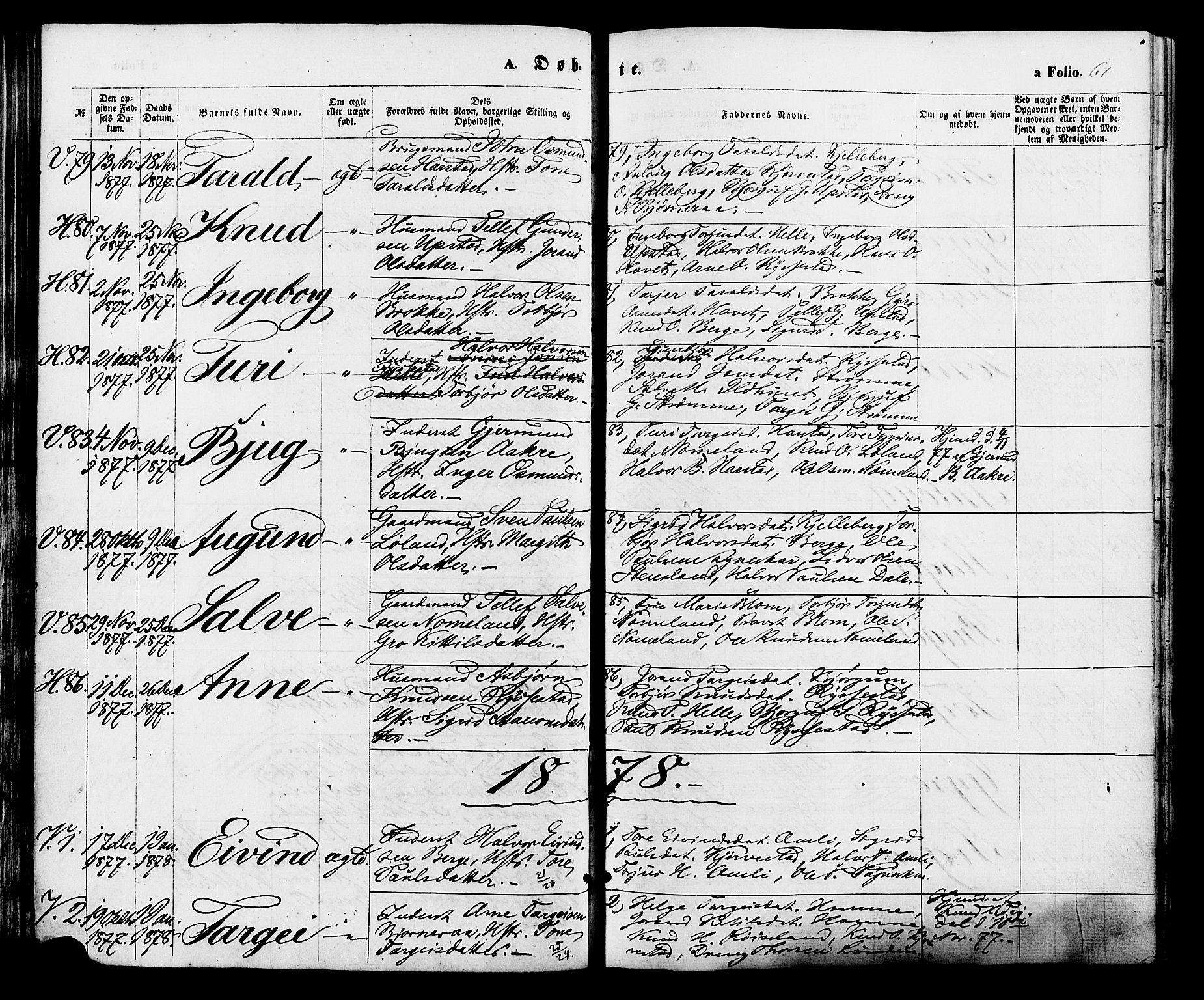 Valle sokneprestkontor, SAK/1111-0044/F/Fa/Fac/L0008: Parish register (official) no. A 8, 1868-1882, p. 61