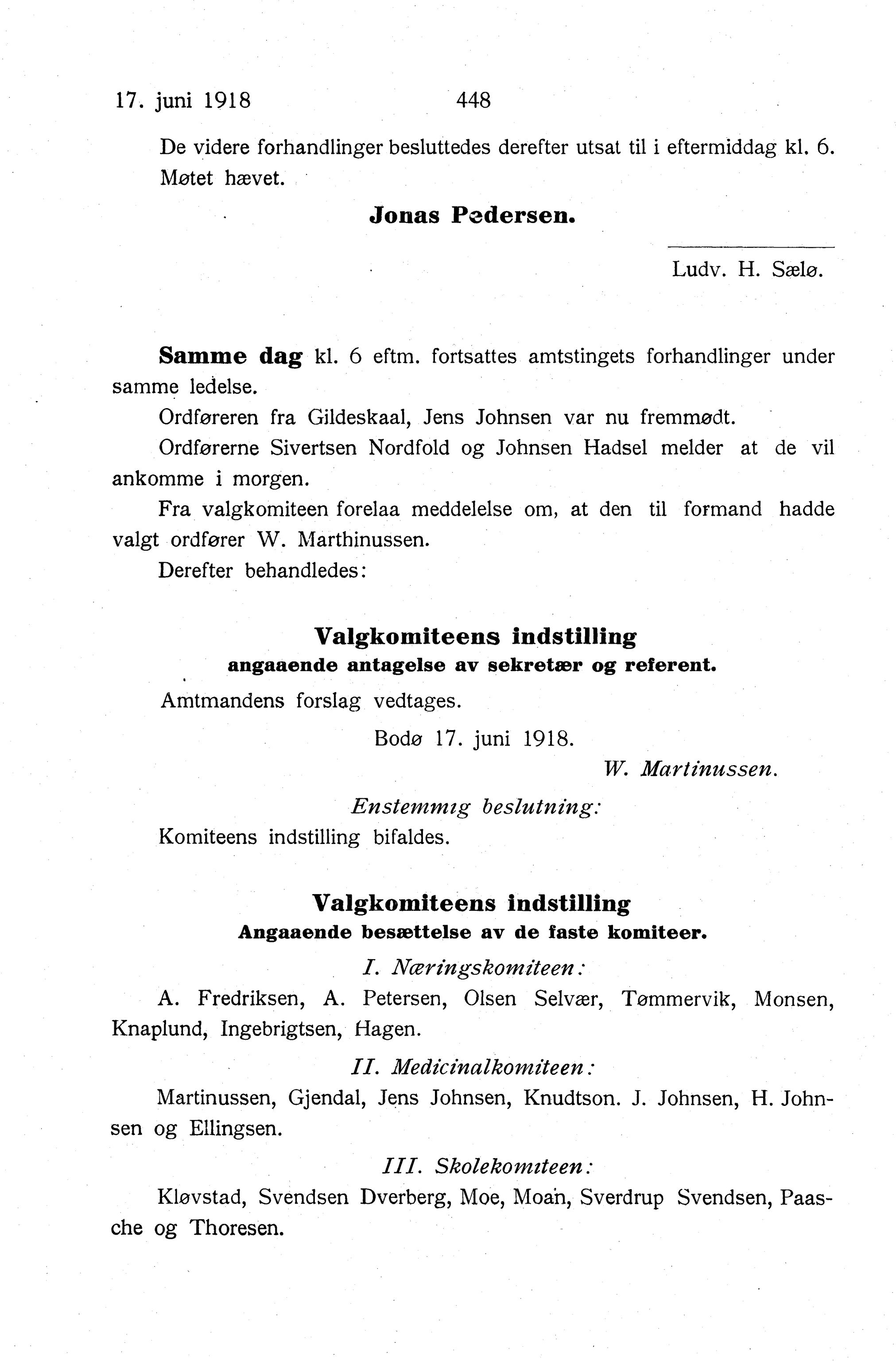 Nordland Fylkeskommune. Fylkestinget, AIN/NFK-17/176/A/Ac/L0041: Fylkestingsforhandlinger 1918, 1918