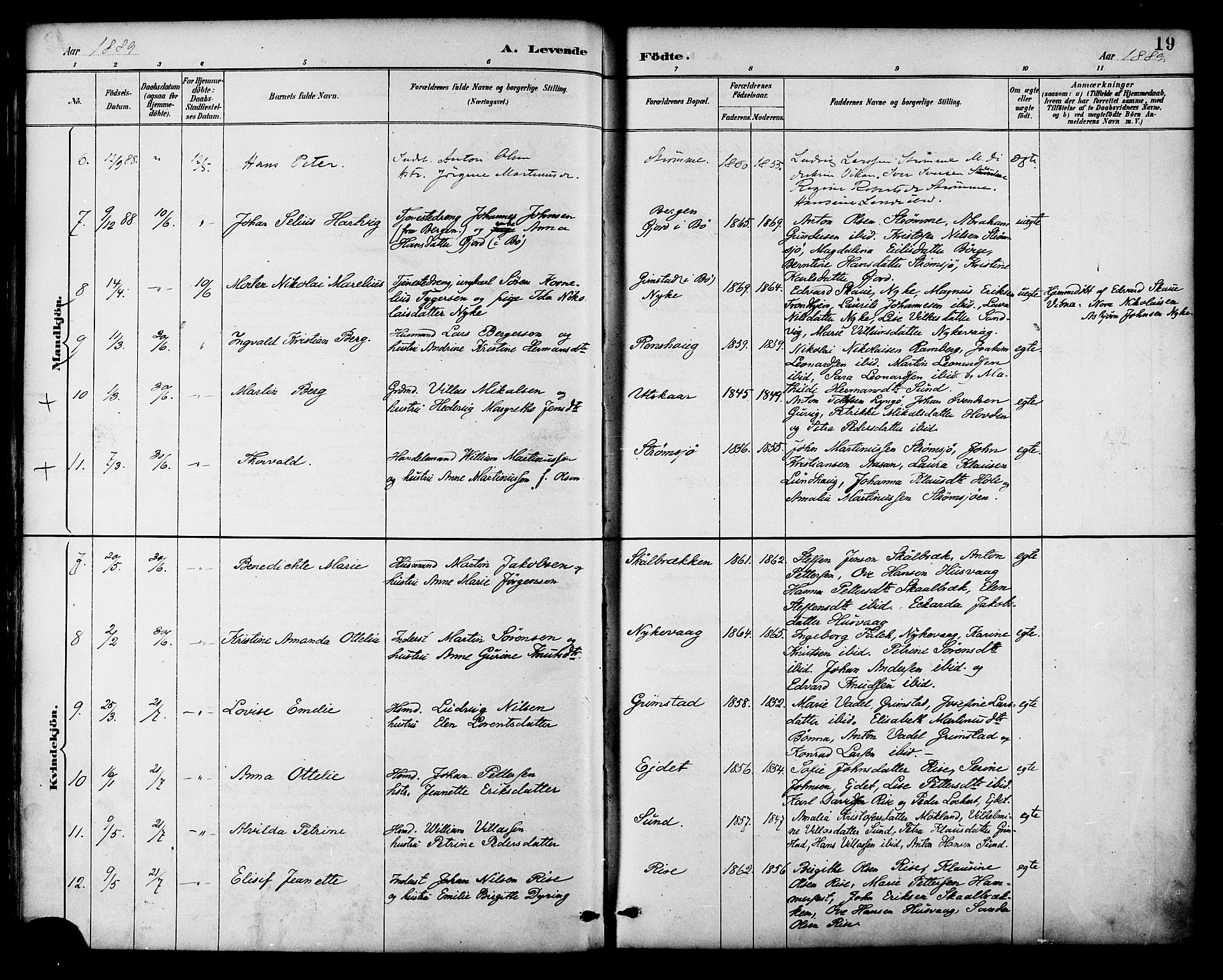 Ministerialprotokoller, klokkerbøker og fødselsregistre - Nordland, AV/SAT-A-1459/892/L1320: Parish register (official) no. 892A01, 1886-1901, p. 19