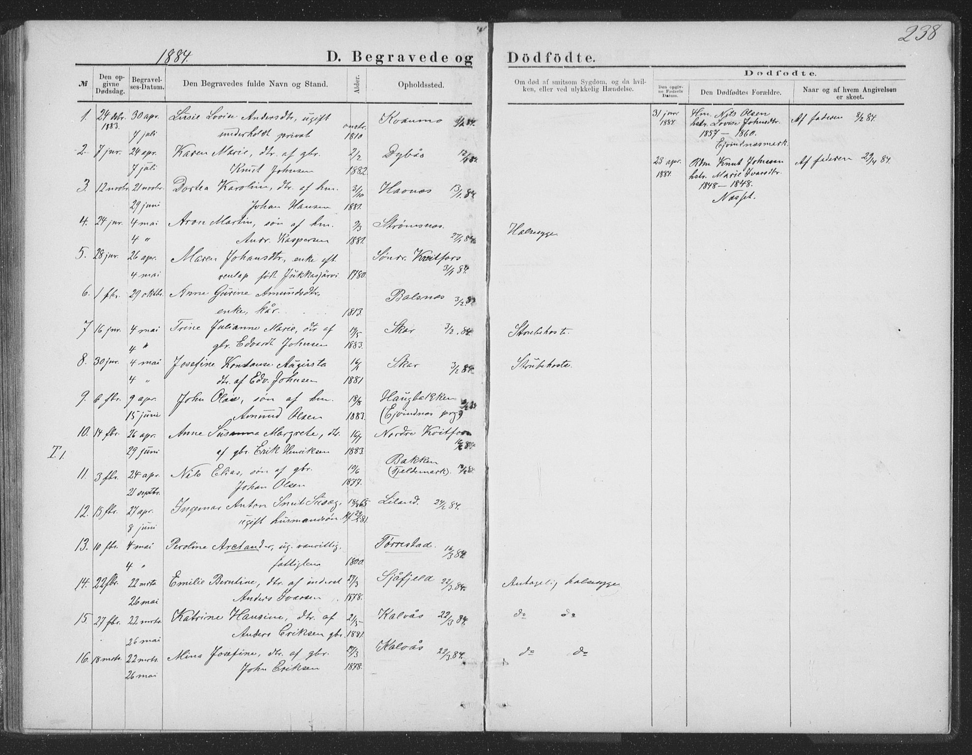 Ministerialprotokoller, klokkerbøker og fødselsregistre - Nordland, SAT/A-1459/863/L0913: Parish register (copy) no. 863C03, 1877-1885, p. 238