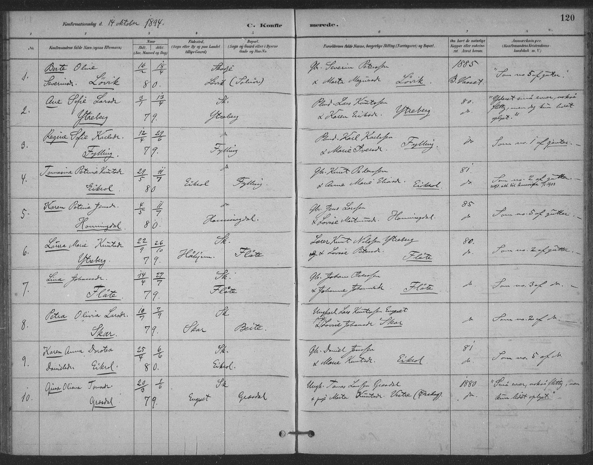 Ministerialprotokoller, klokkerbøker og fødselsregistre - Møre og Romsdal, AV/SAT-A-1454/524/L0356: Parish register (official) no. 524A08, 1880-1899, p. 120