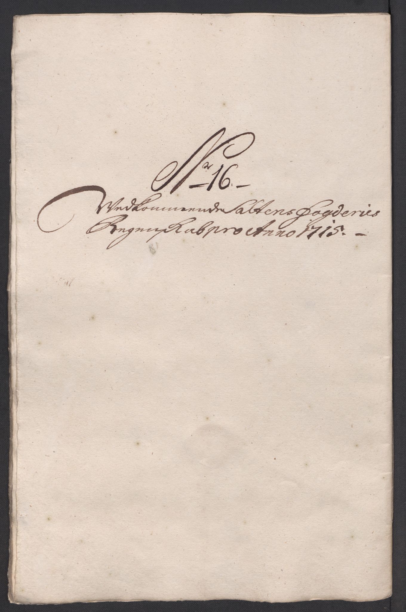 Rentekammeret inntil 1814, Reviderte regnskaper, Fogderegnskap, AV/RA-EA-4092/R66/L4585: Fogderegnskap Salten, 1715, p. 207