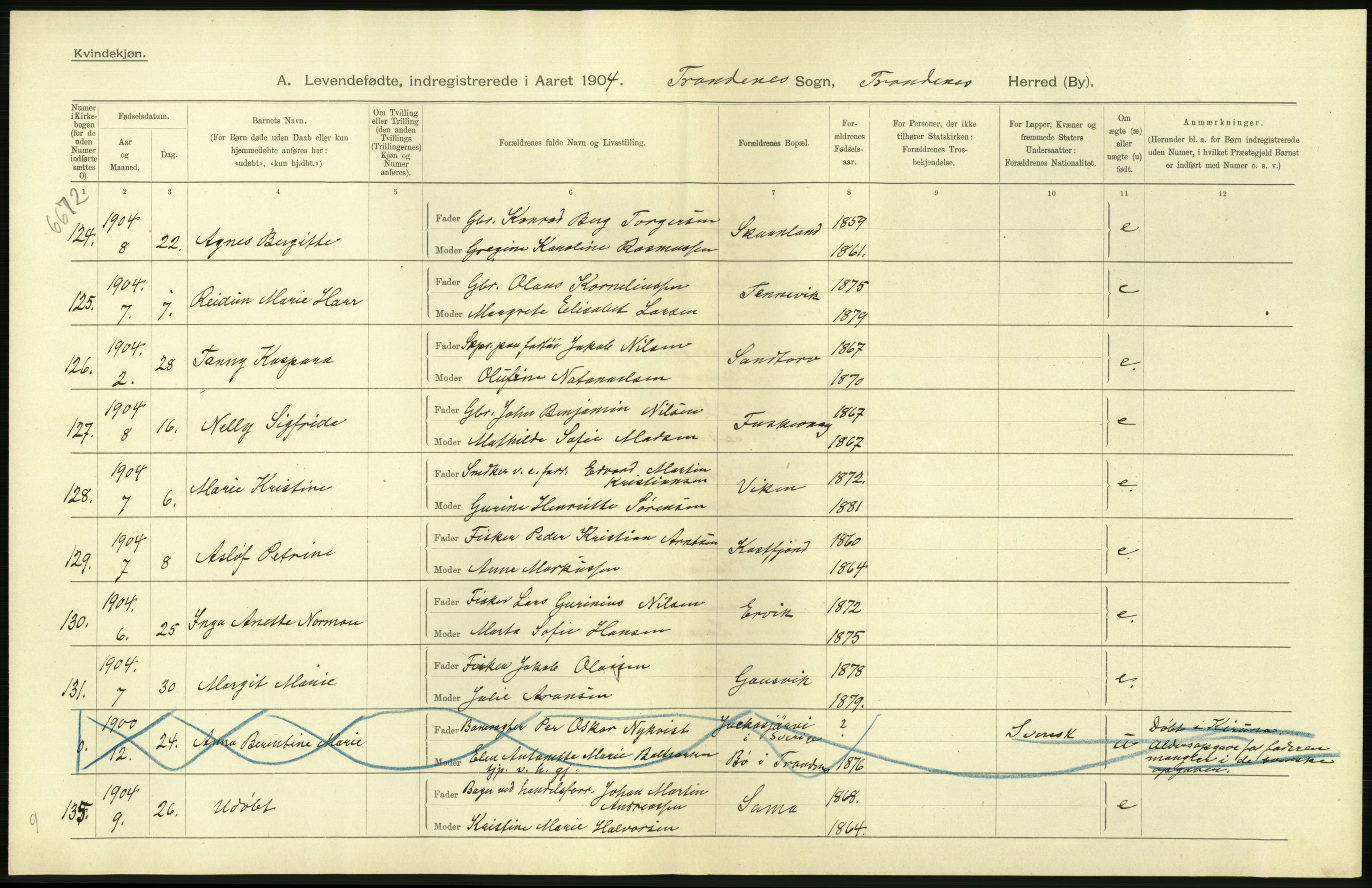 Statistisk sentralbyrå, Sosiodemografiske emner, Befolkning, AV/RA-S-2228/D/Df/Dfa/Dfab/L0022: Tromsø amt: Fødte, gifte, døde, 1904, p. 256