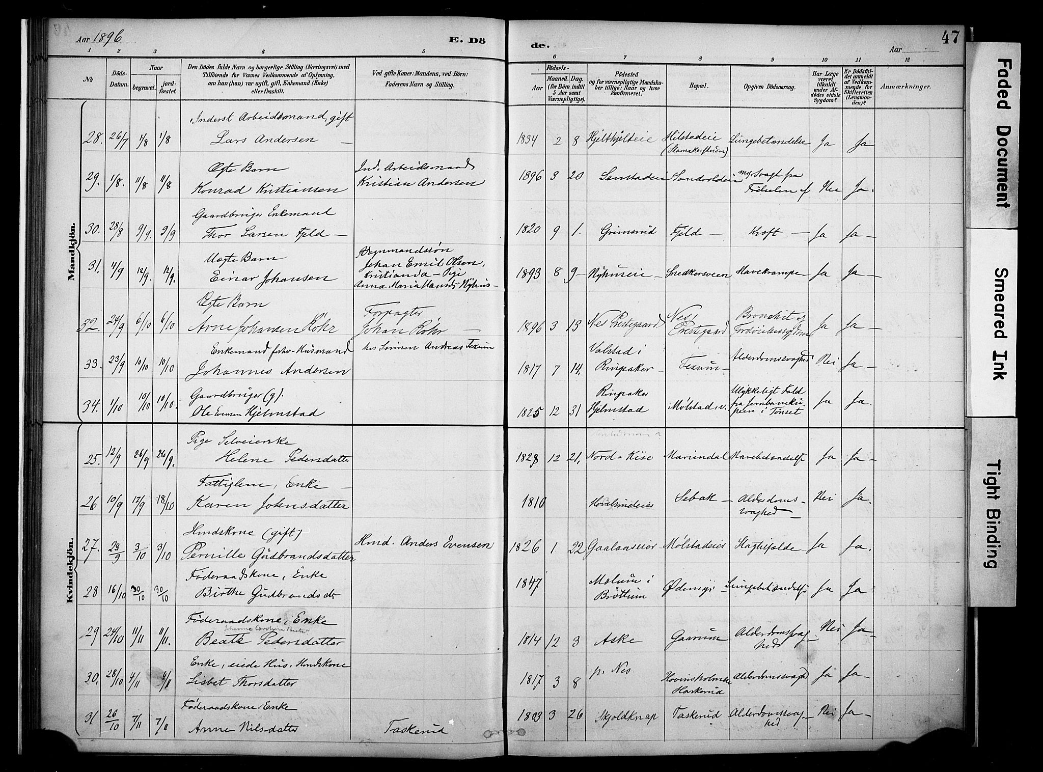 Nes prestekontor, Hedmark, SAH/PREST-020/K/Ka/L0011: Parish register (official) no. 11, 1887-1905, p. 47