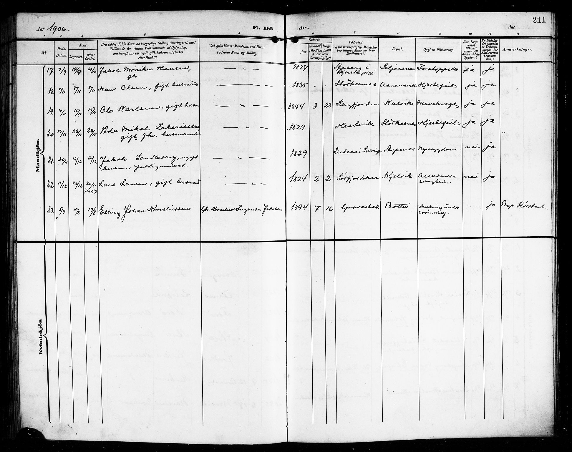 Ministerialprotokoller, klokkerbøker og fødselsregistre - Nordland, AV/SAT-A-1459/854/L0786: Parish register (copy) no. 854C02, 1901-1912, p. 211