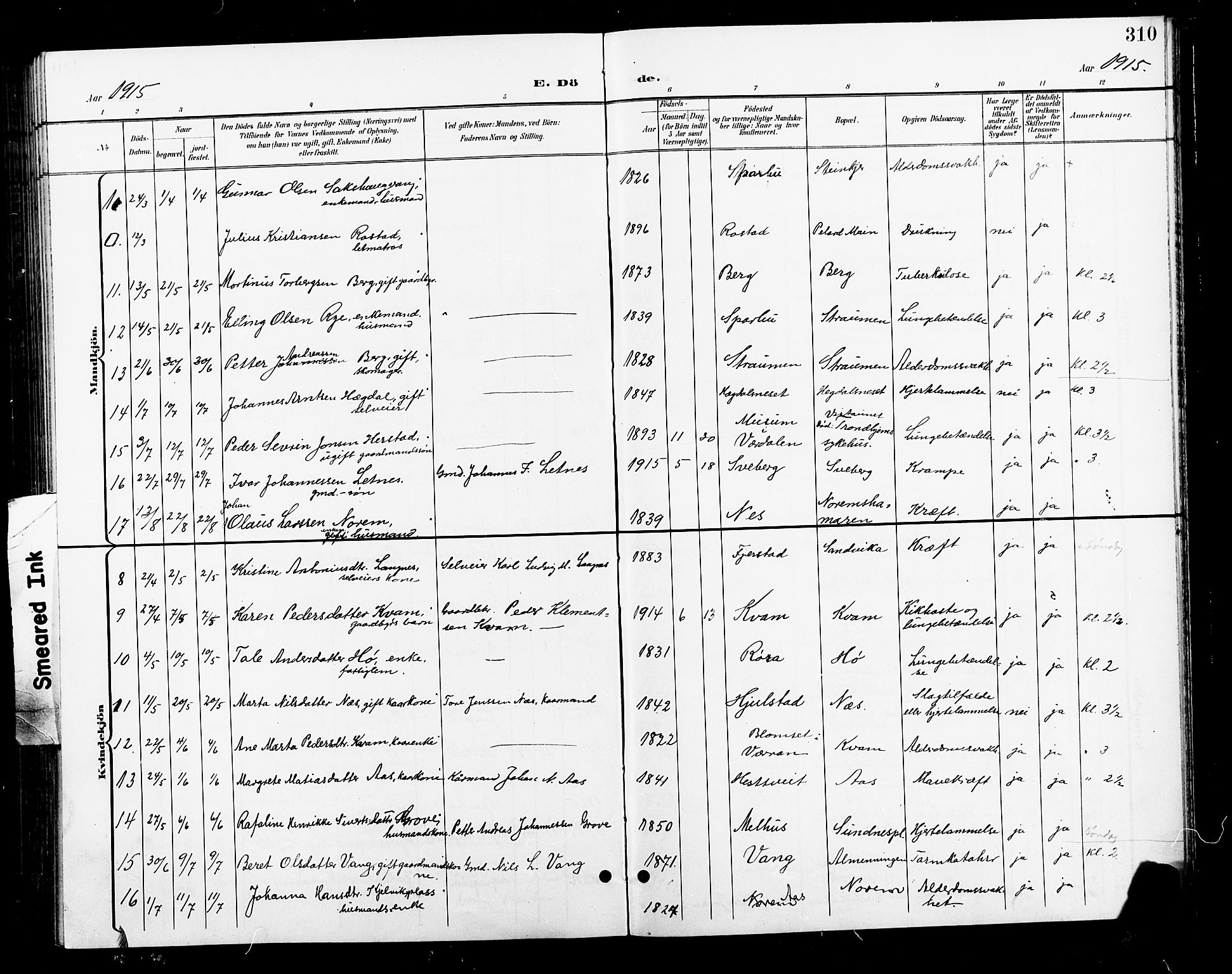 Ministerialprotokoller, klokkerbøker og fødselsregistre - Nord-Trøndelag, AV/SAT-A-1458/730/L0302: Parish register (copy) no. 730C05, 1898-1924, p. 310