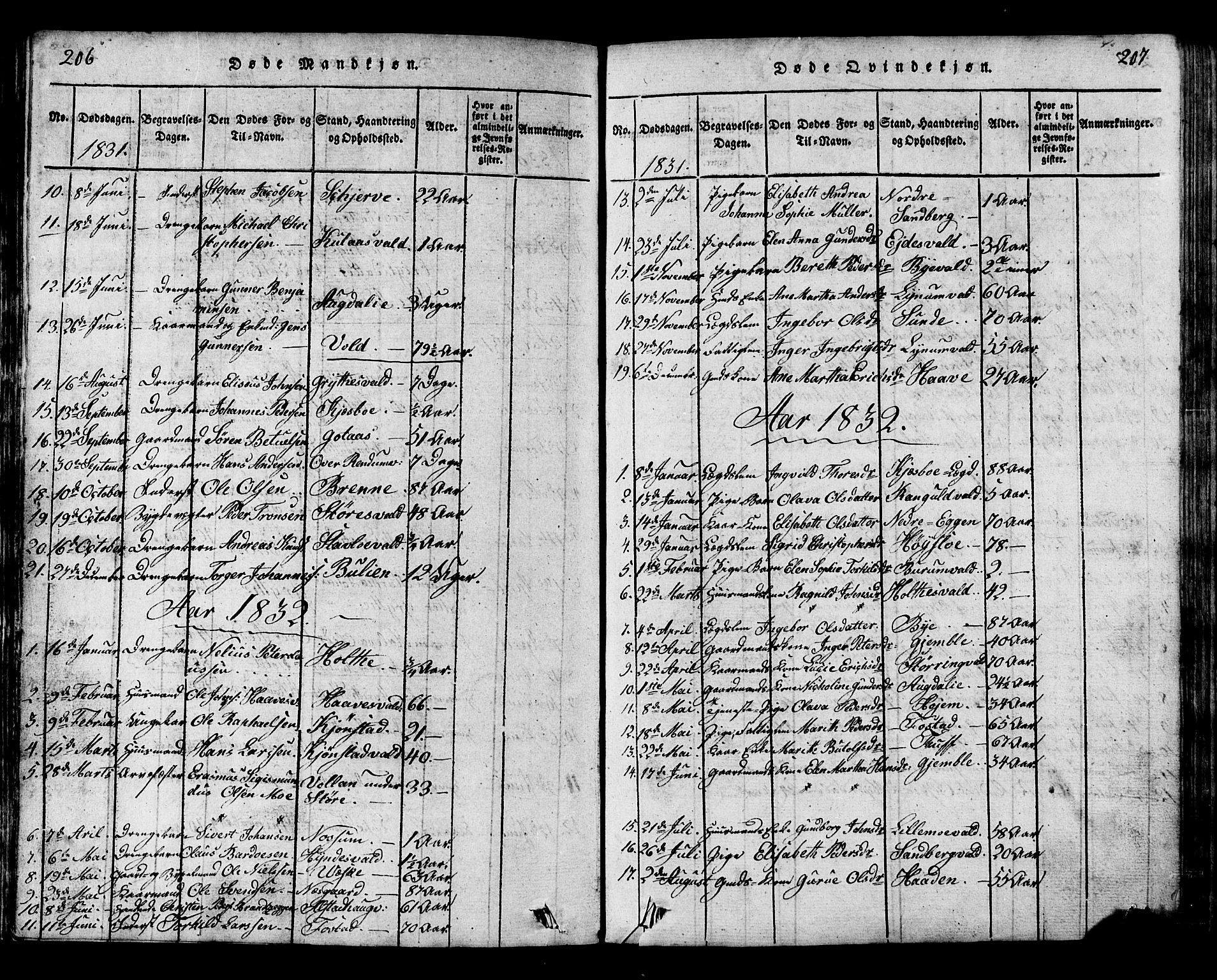 Ministerialprotokoller, klokkerbøker og fødselsregistre - Nord-Trøndelag, SAT/A-1458/717/L0169: Parish register (copy) no. 717C01, 1816-1834, p. 206-207