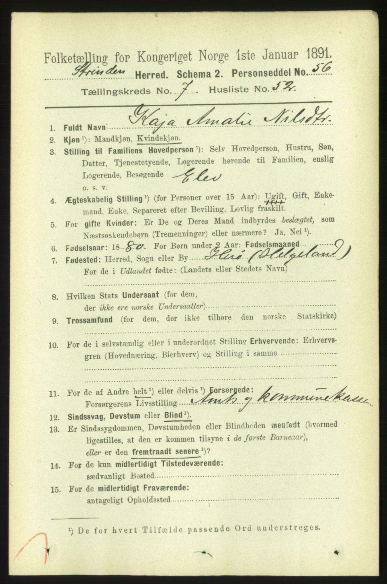 RA, 1891 census for 1660 Strinda, 1891, p. 6651