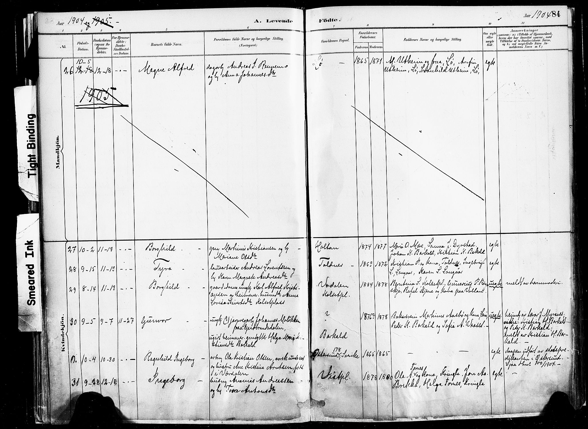 Ministerialprotokoller, klokkerbøker og fødselsregistre - Nord-Trøndelag, AV/SAT-A-1458/735/L0351: Parish register (official) no. 735A10, 1884-1908, p. 84