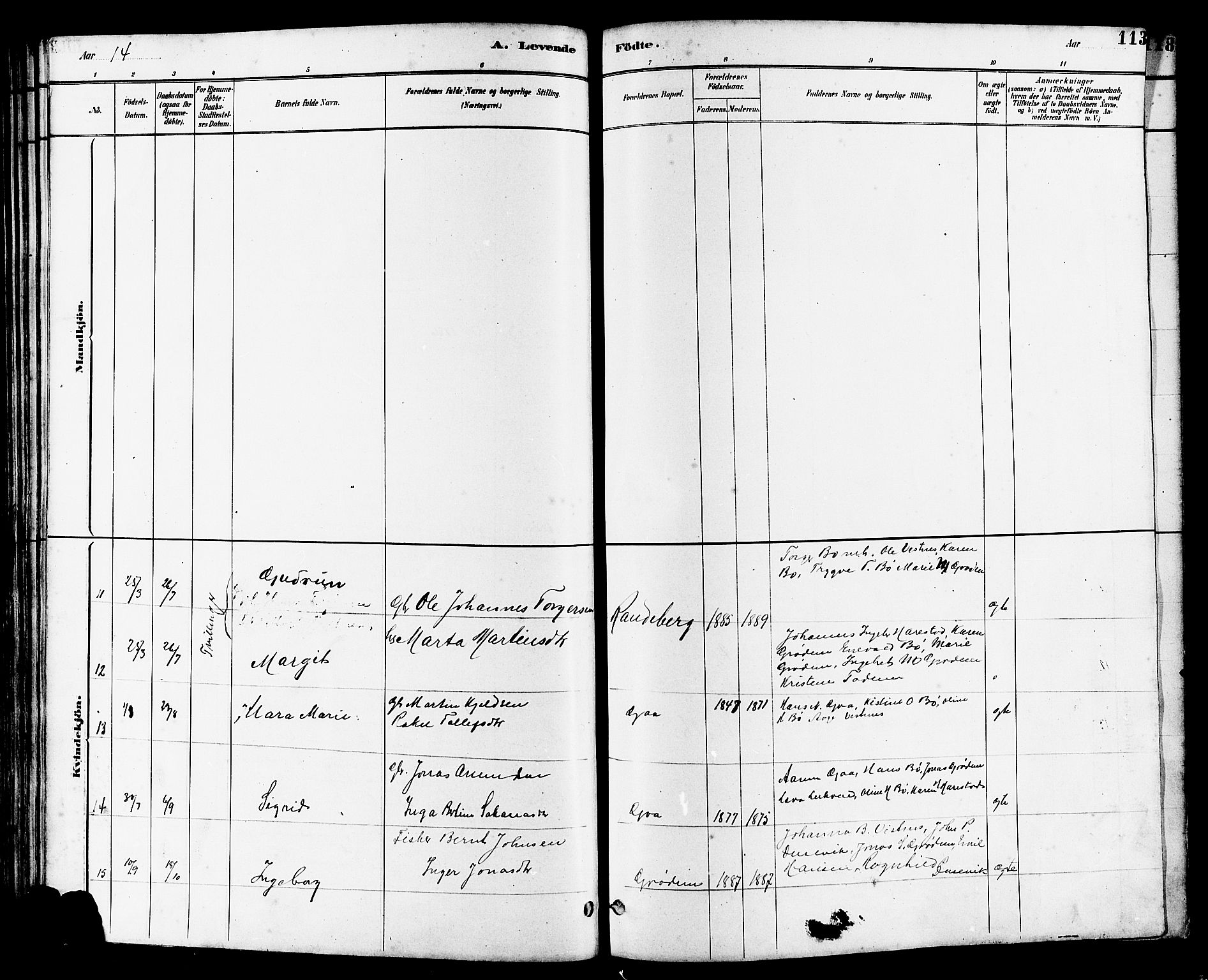 Hetland sokneprestkontor, AV/SAST-A-101826/30/30BB/L0006: Parish register (copy) no. B 6, 1878-1921, p. 113