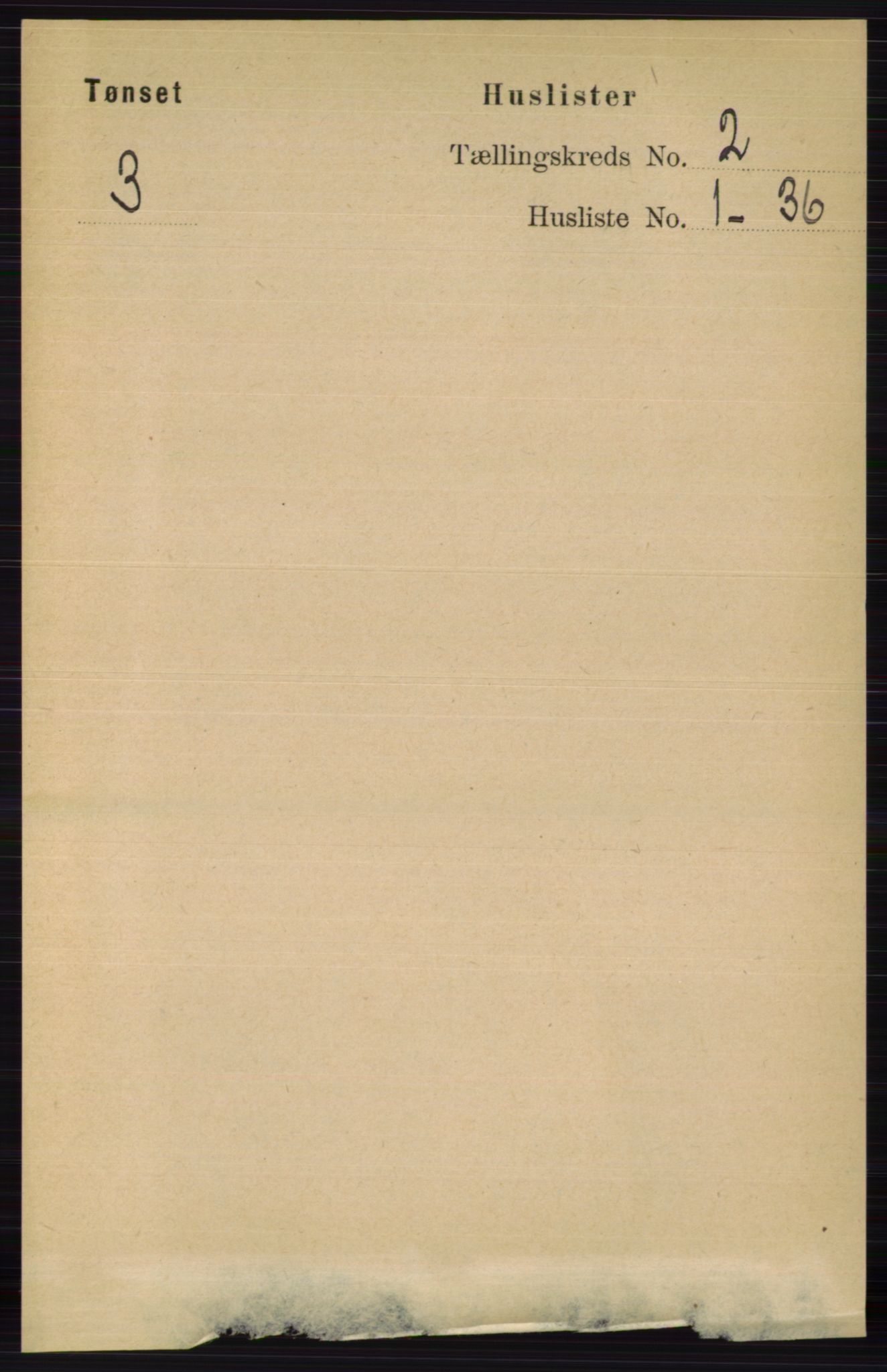 RA, 1891 census for 0437 Tynset, 1891, p. 294