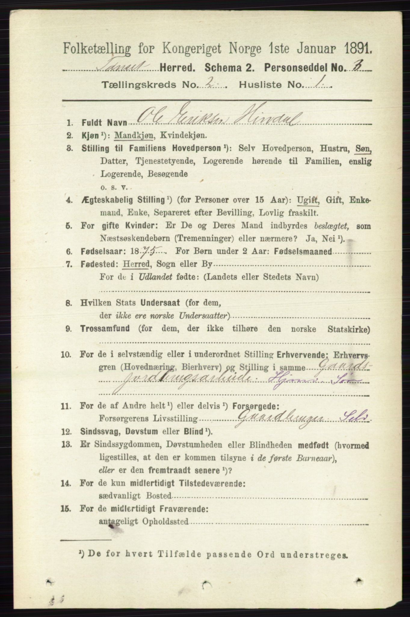 RA, 1891 census for 0437 Tynset, 1891, p. 335