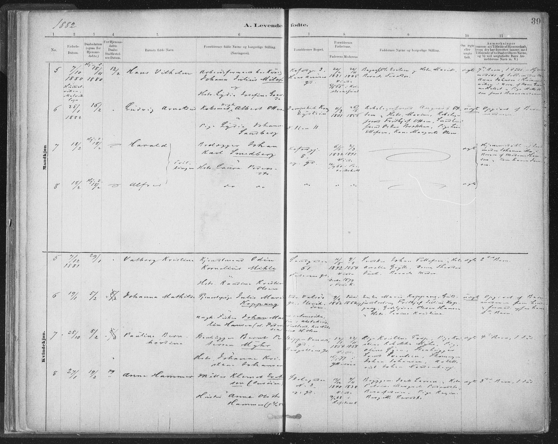 Ministerialprotokoller, klokkerbøker og fødselsregistre - Sør-Trøndelag, SAT/A-1456/603/L0162: Parish register (official) no. 603A01, 1879-1895, p. 39