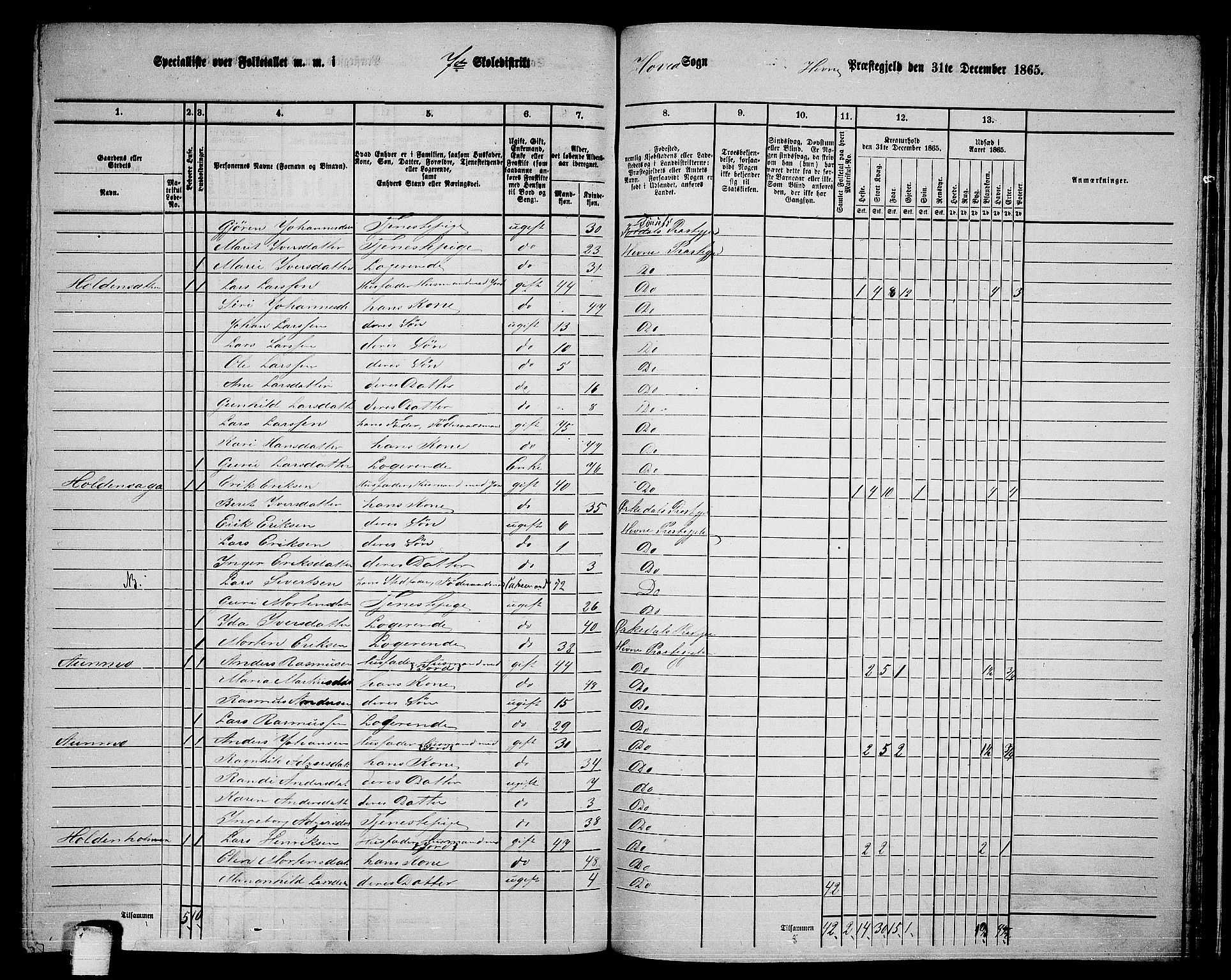 RA, 1865 census for Hemne, 1865, p. 156