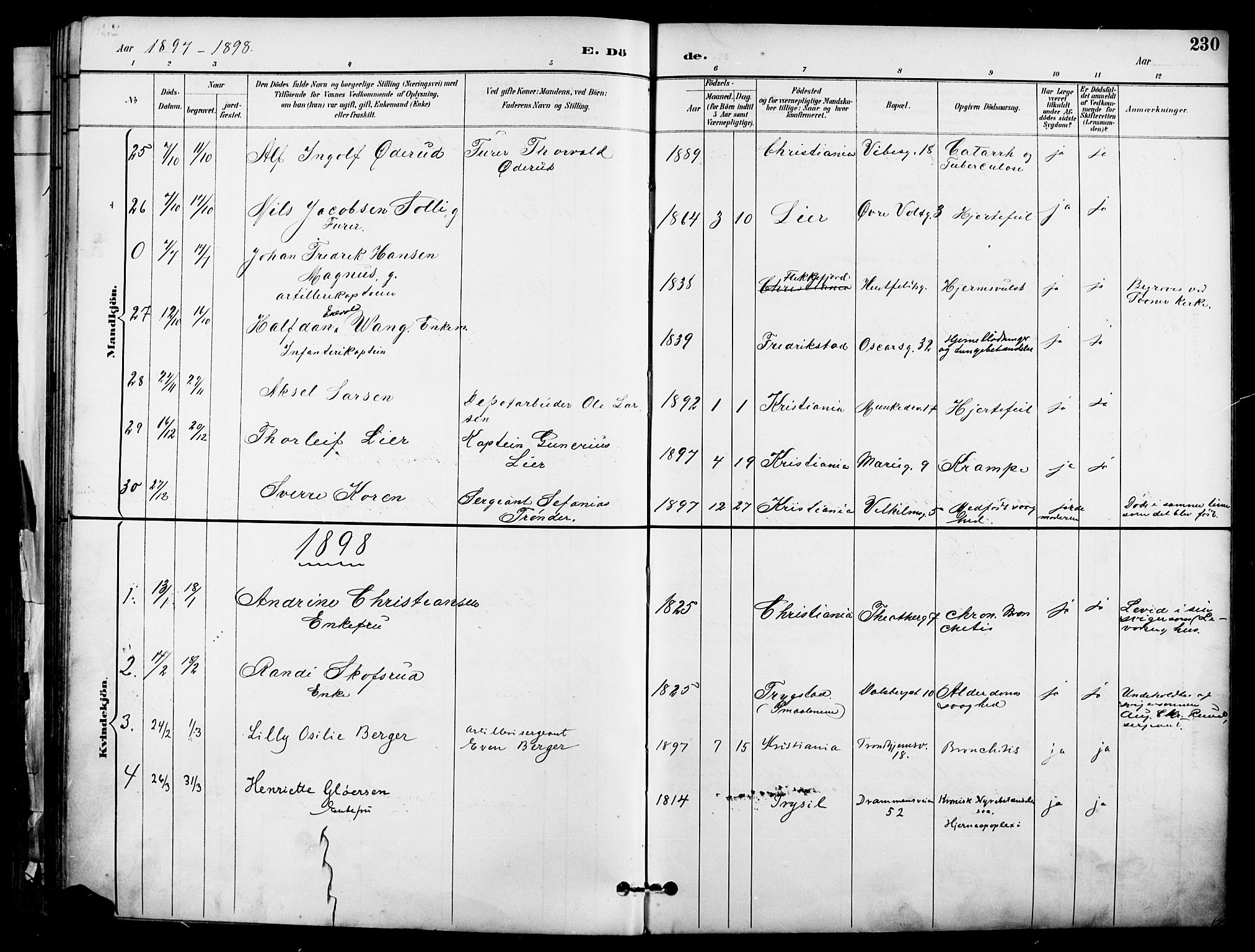 Garnisonsmenigheten Kirkebøker, SAO/A-10846/F/Fa/L0013: Parish register (official) no. 13, 1894-1904, p. 230