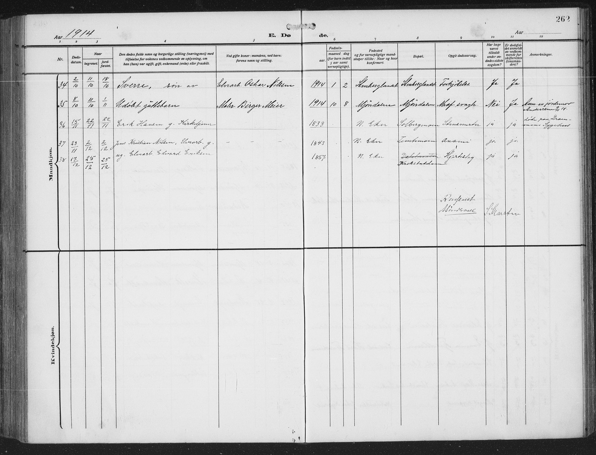 Nedre Eiker kirkebøker, AV/SAKO-A-612/F/Fa/L0007: Parish register (official) no. 7, 1912-1918, p. 262