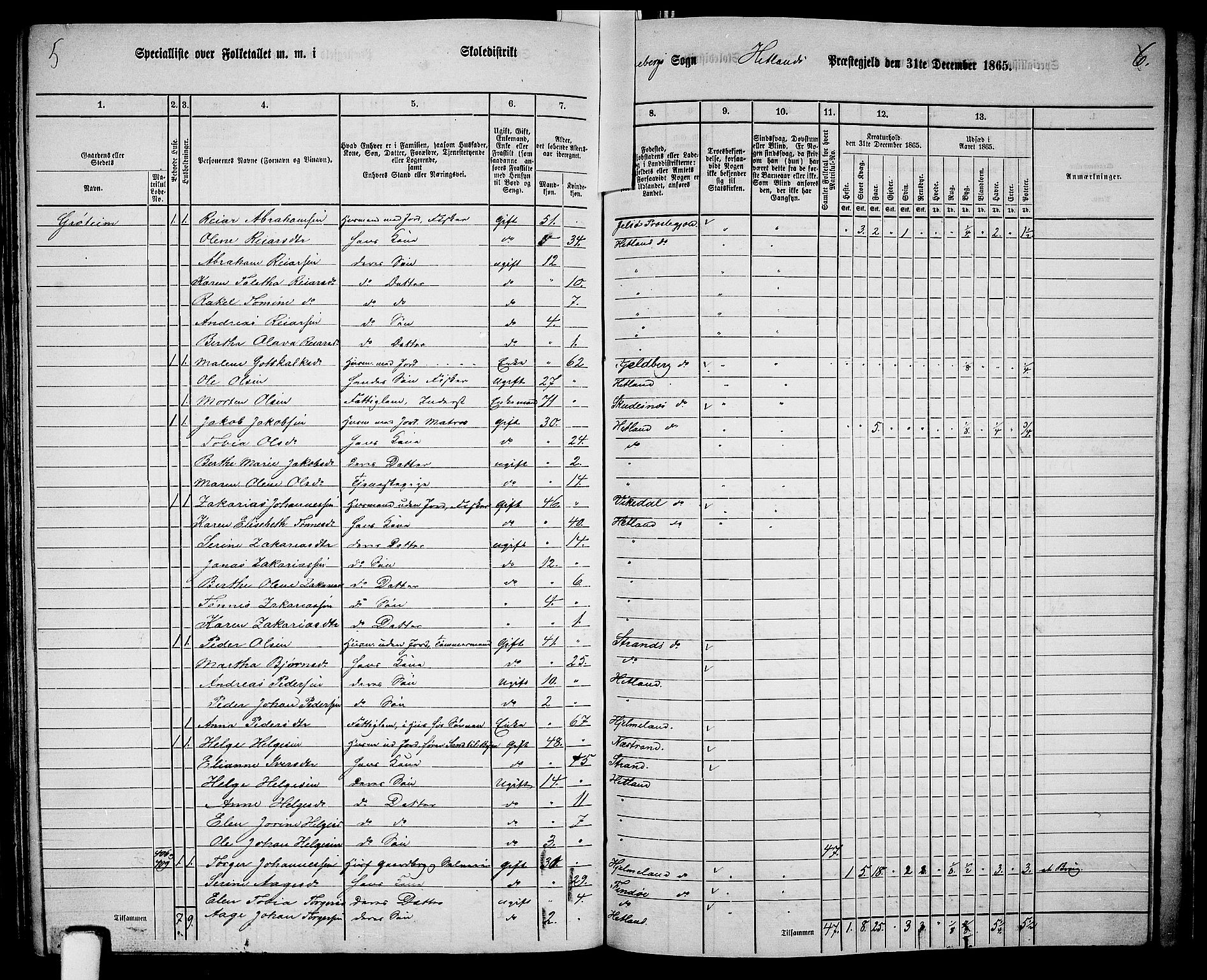 RA, 1865 census for Hetland, 1865, p. 187