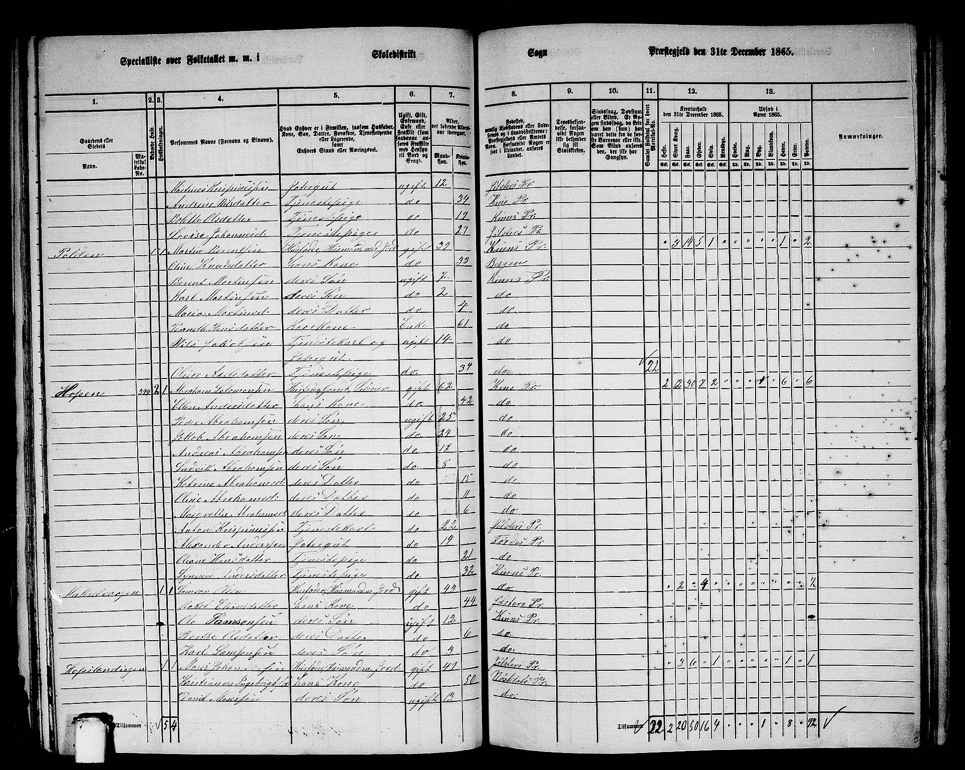 RA, 1865 census for Kinn, 1865, p. 99