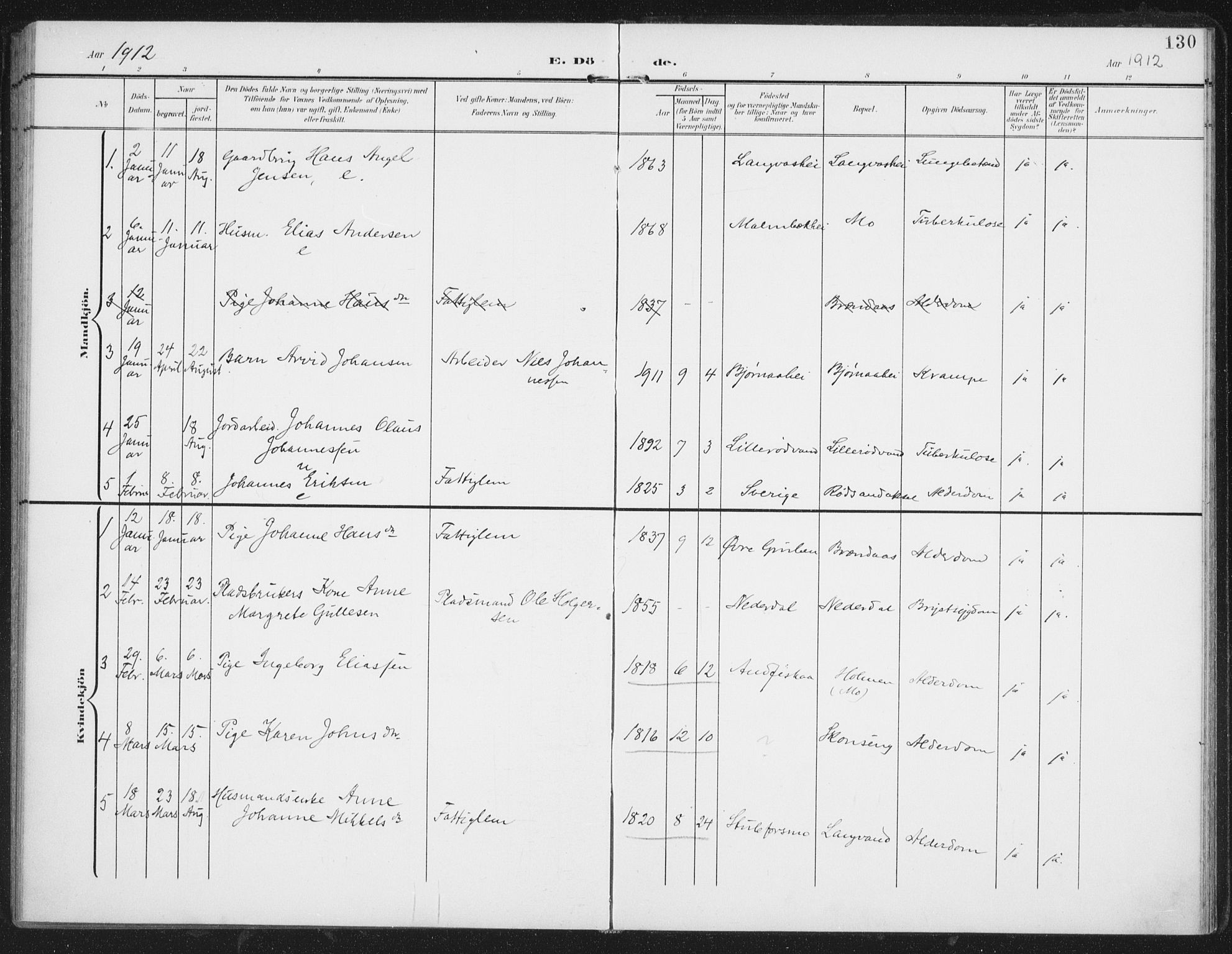 Ministerialprotokoller, klokkerbøker og fødselsregistre - Nordland, SAT/A-1459/827/L0403: Parish register (official) no. 827A15, 1903-1912, p. 130