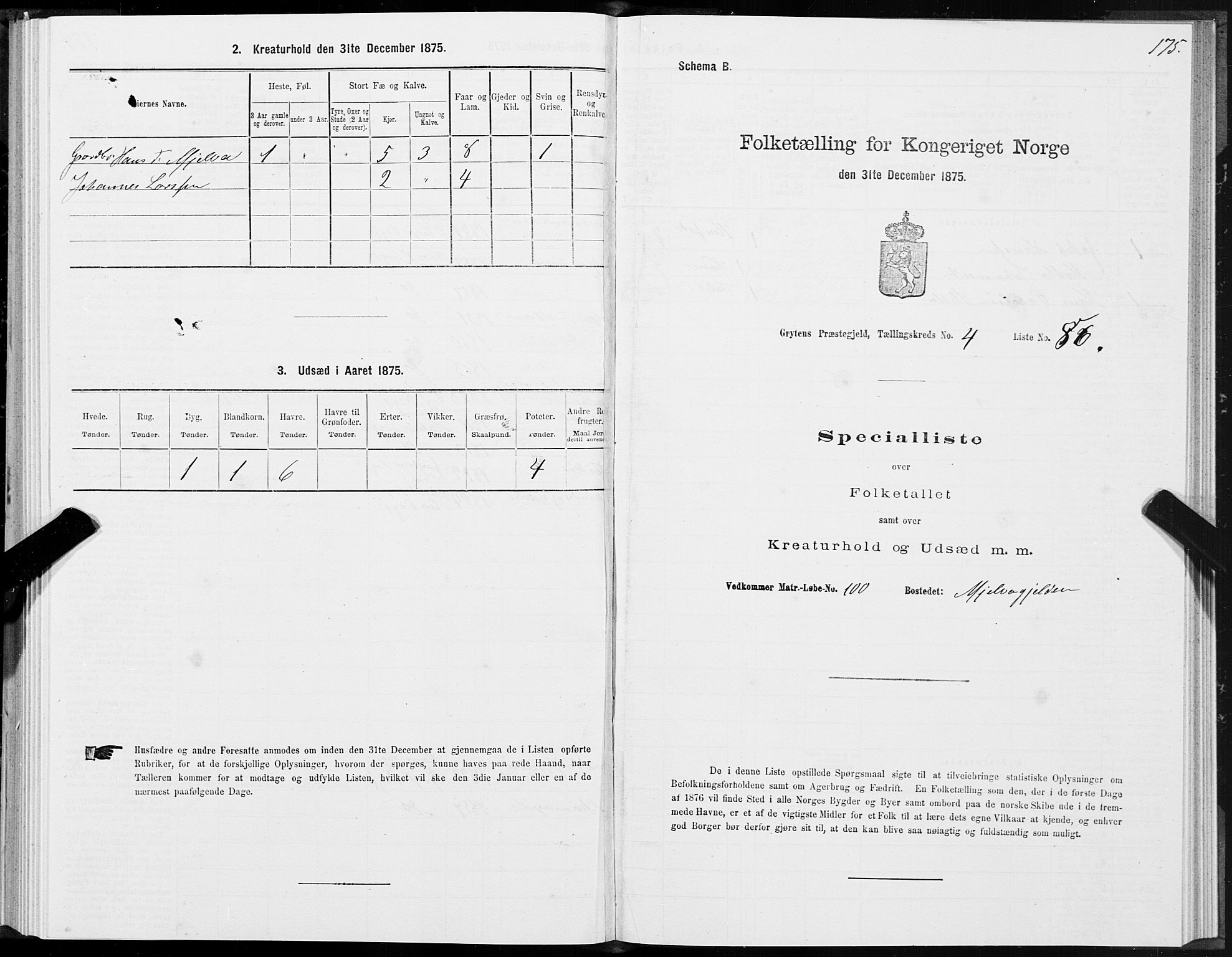 SAT, 1875 census for 1539P Grytten, 1875, p. 2175