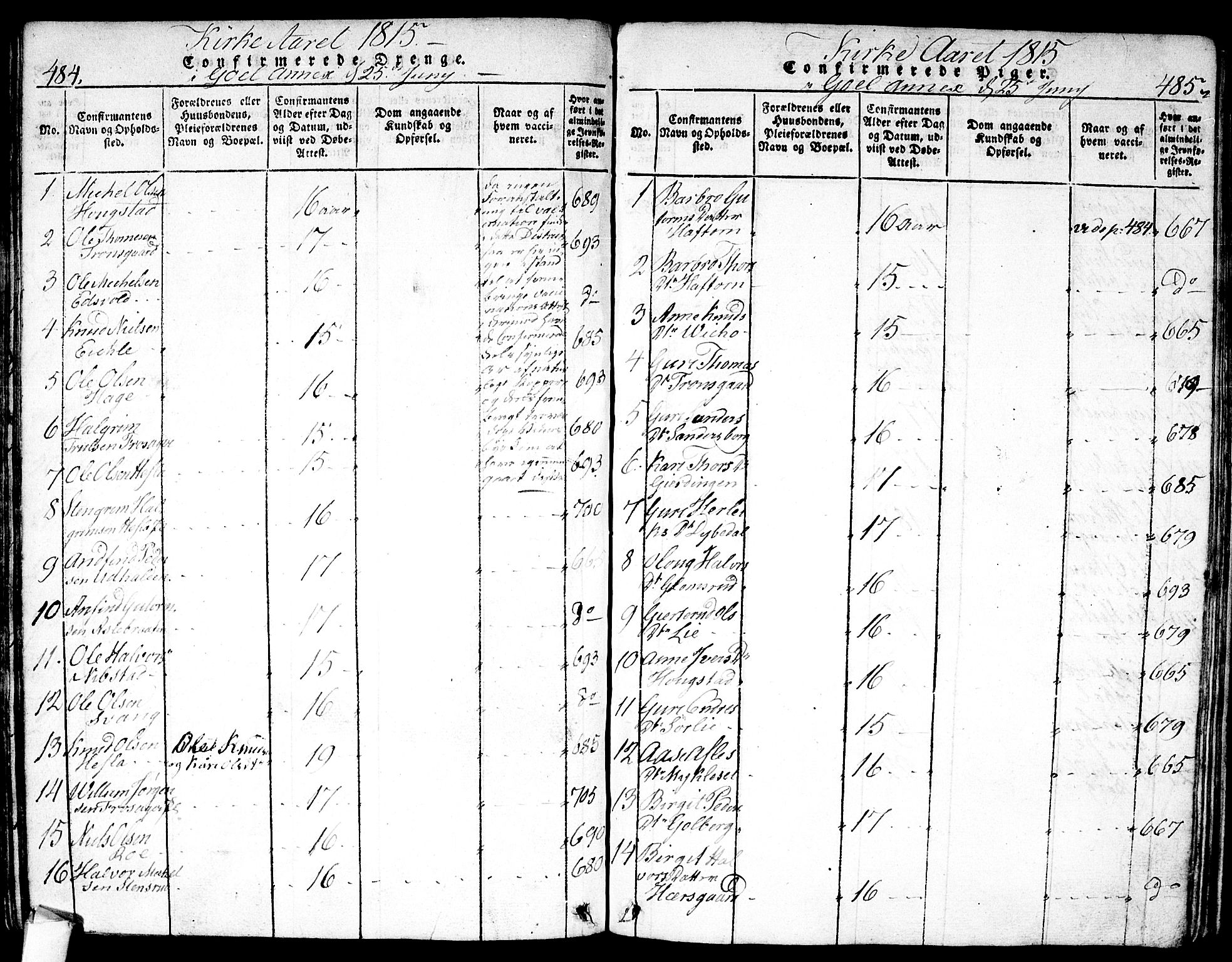 Nes kirkebøker, AV/SAKO-A-236/F/Fa/L0007: Parish register (official) no. 7, 1815-1823, p. 484-485