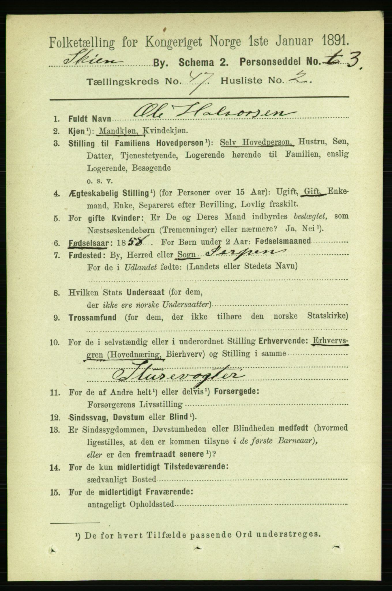 RA, 1891 census for 0806 Skien, 1891, p. 9213