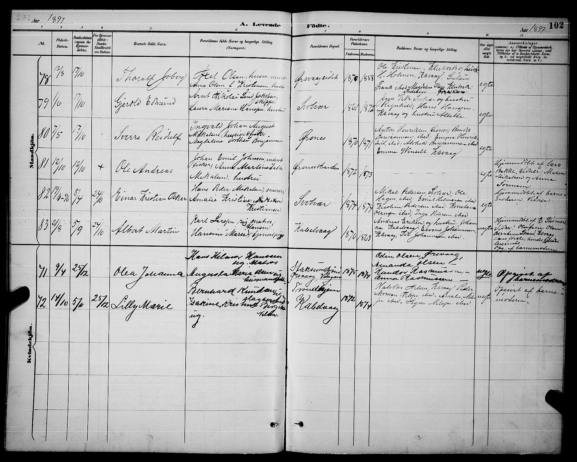 Ministerialprotokoller, klokkerbøker og fødselsregistre - Nordland, AV/SAT-A-1459/874/L1077: Parish register (copy) no. 874C06, 1891-1900, p. 102