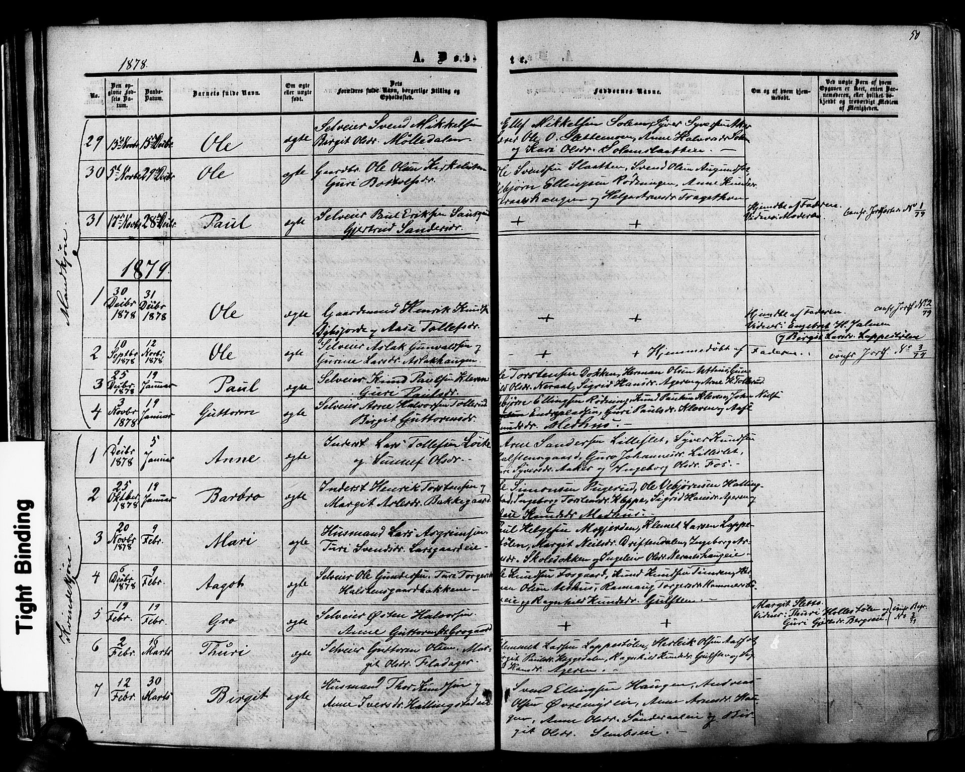 Hol kirkebøker, SAKO/A-227/F/Fa/L0002: Parish register (official) no. I 2, 1870-1886, p. 50