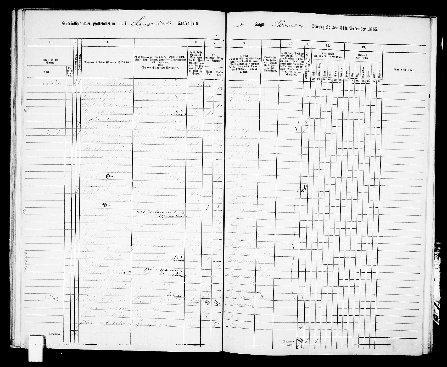 RA, 1865 census for Bamble, 1865, p. 207