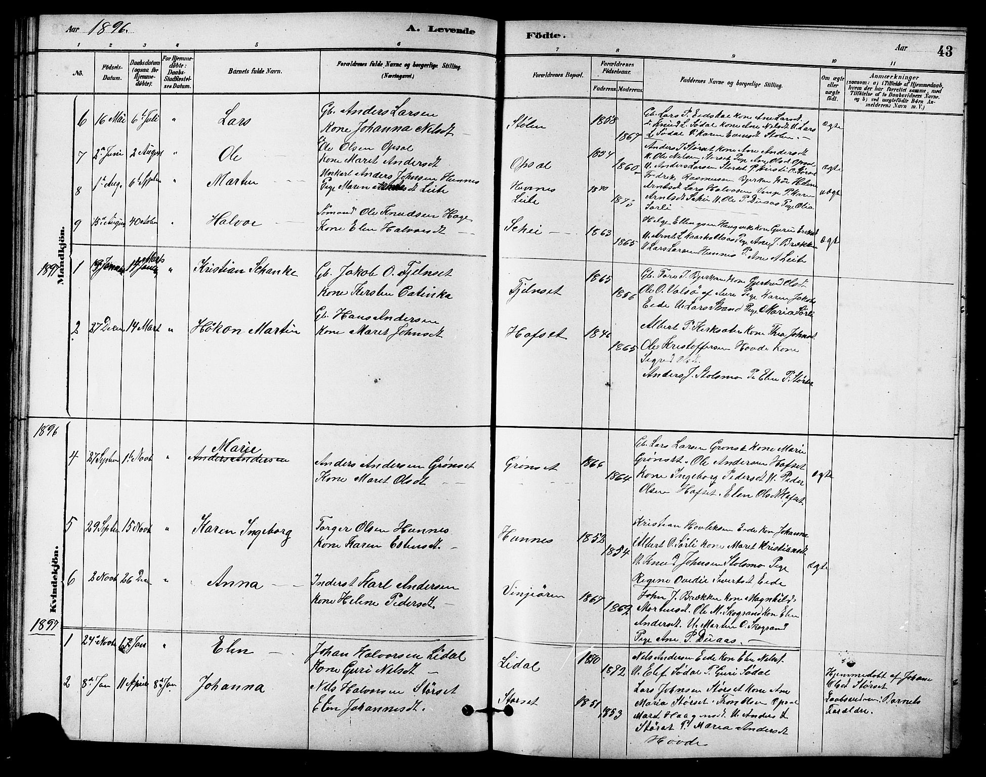 Ministerialprotokoller, klokkerbøker og fødselsregistre - Sør-Trøndelag, AV/SAT-A-1456/631/L0514: Parish register (copy) no. 631C02, 1879-1912, p. 43