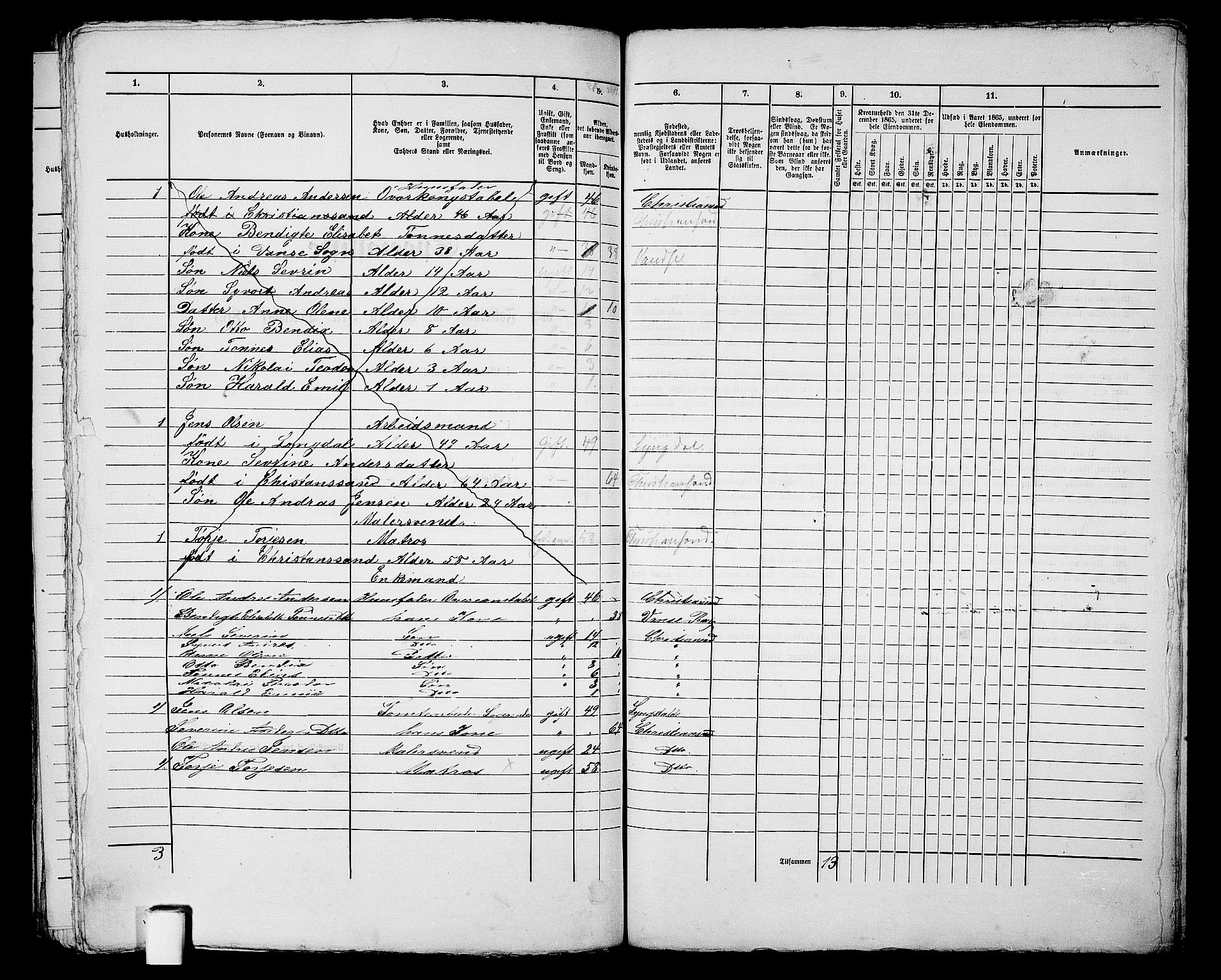 RA, 1865 census for Kristiansand, 1865, p. 503