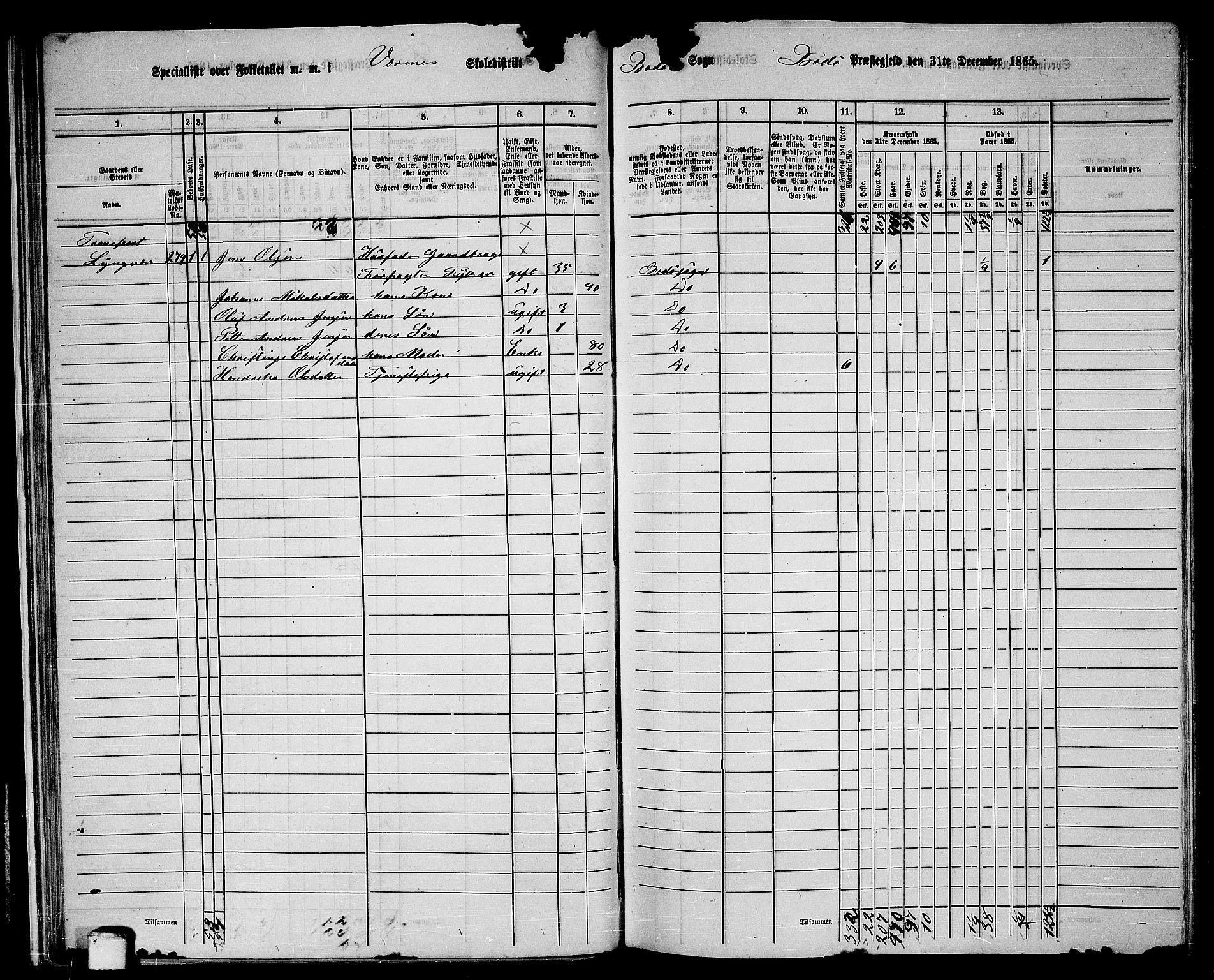 RA, 1865 census for Bodø/Bodø, 1865, p. 30