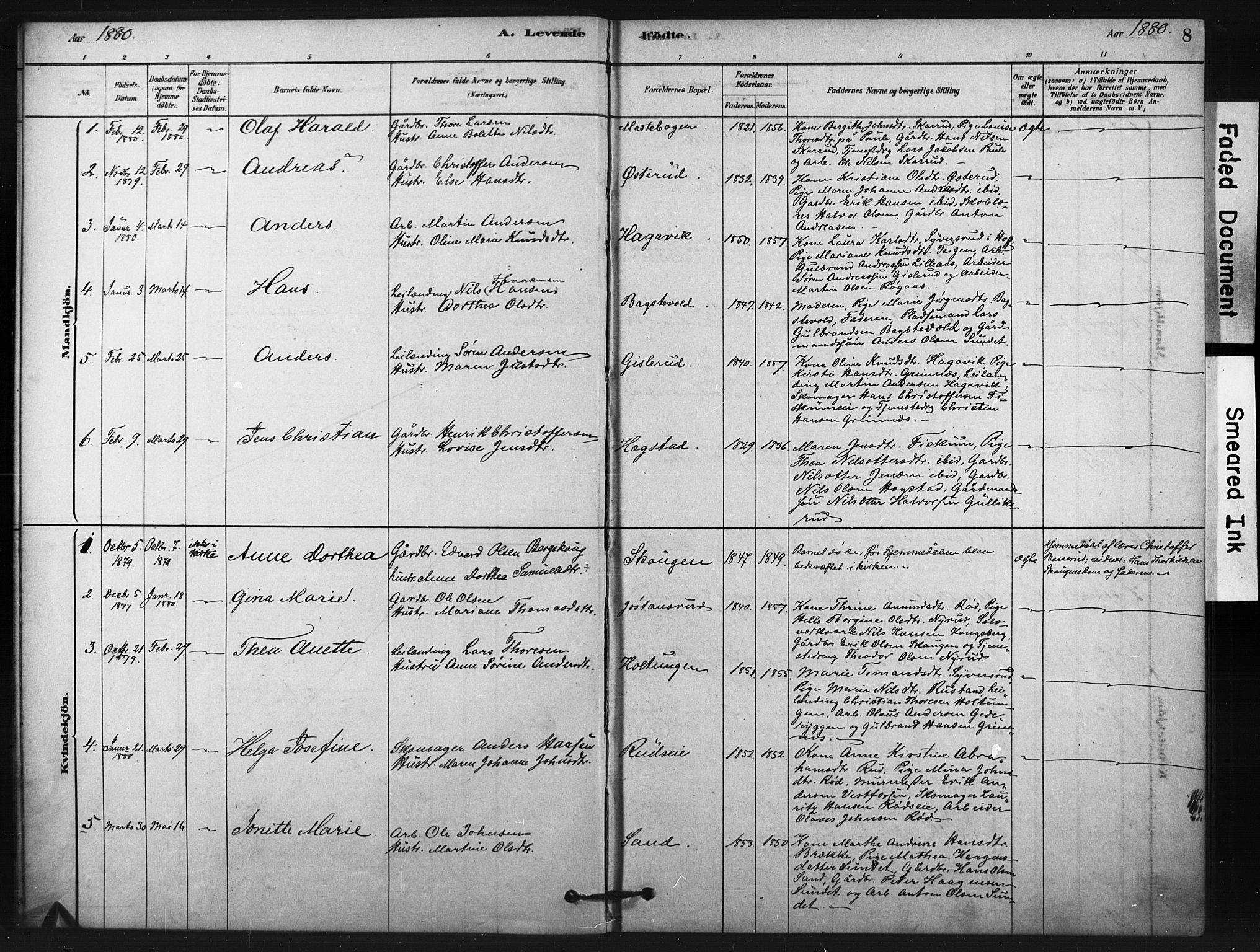 Fiskum kirkebøker, AV/SAKO-A-15/F/Fa/L0002: Parish register (official) no. 2, 1878-1890, p. 8