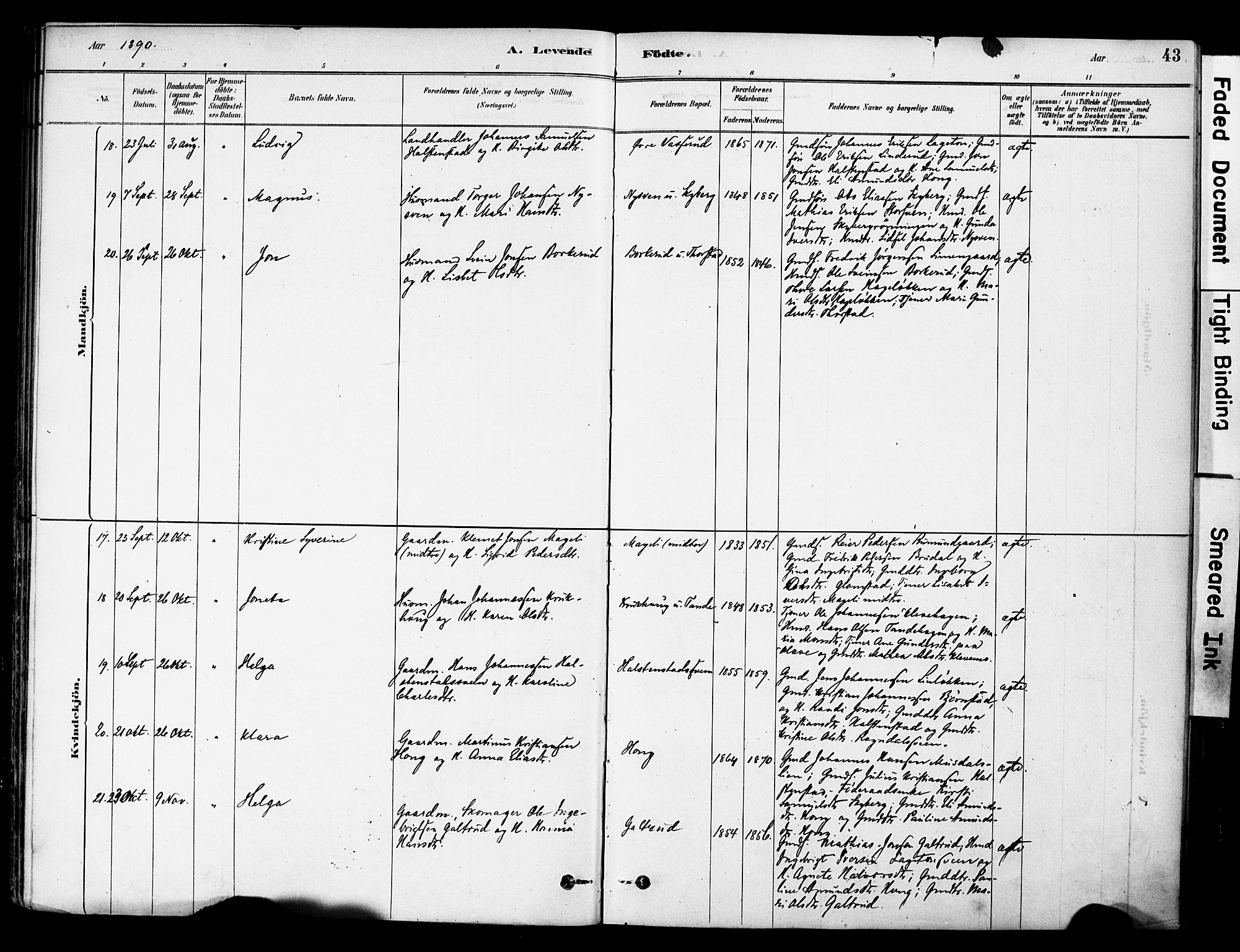 Øyer prestekontor, SAH/PREST-084/H/Ha/Haa/L0009: Parish register (official) no. 9, 1878-1893, p. 43