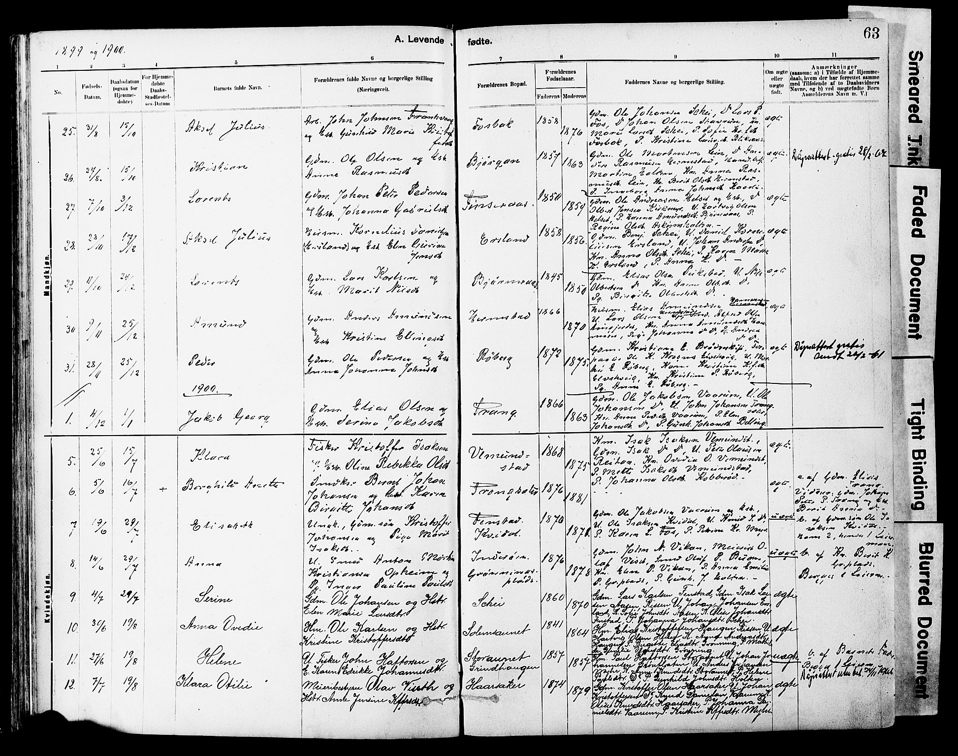 Ministerialprotokoller, klokkerbøker og fødselsregistre - Sør-Trøndelag, SAT/A-1456/646/L0615: Parish register (official) no. 646A13, 1885-1900, p. 63