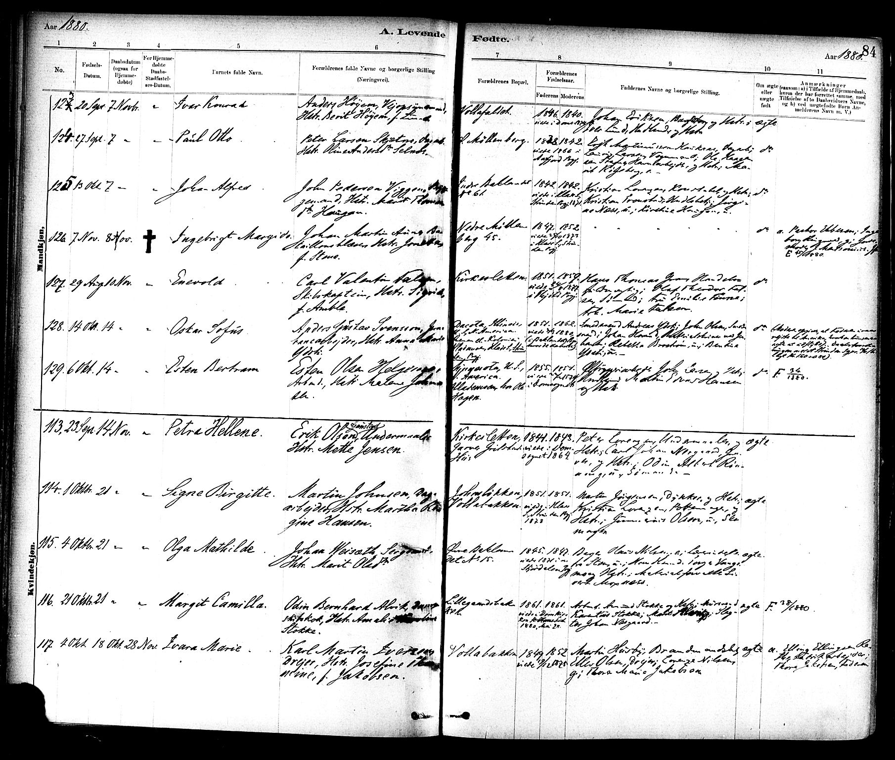 Ministerialprotokoller, klokkerbøker og fødselsregistre - Sør-Trøndelag, AV/SAT-A-1456/604/L0188: Parish register (official) no. 604A09, 1878-1892, p. 84