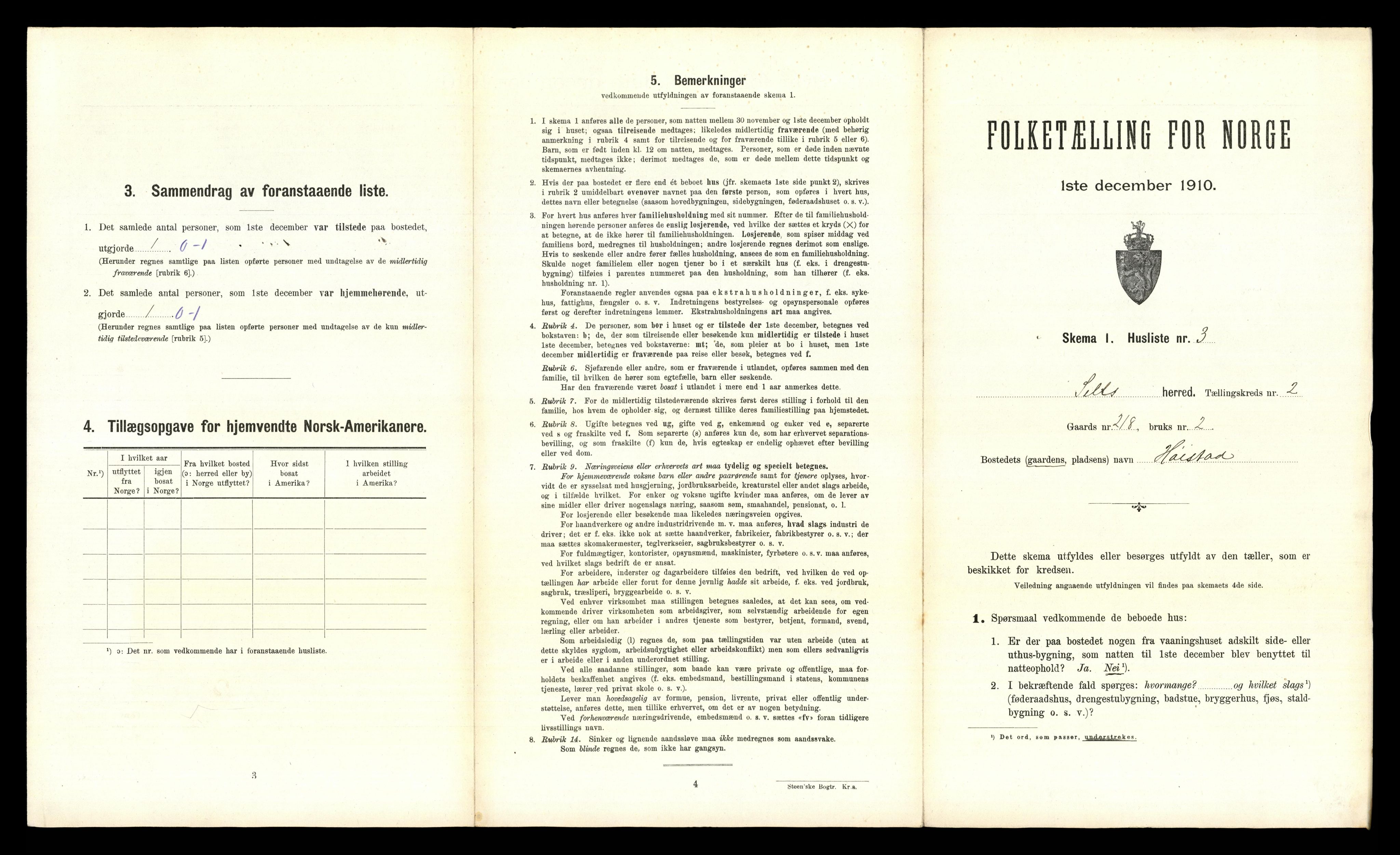 RA, 1910 census for Sel, 1910, p. 118