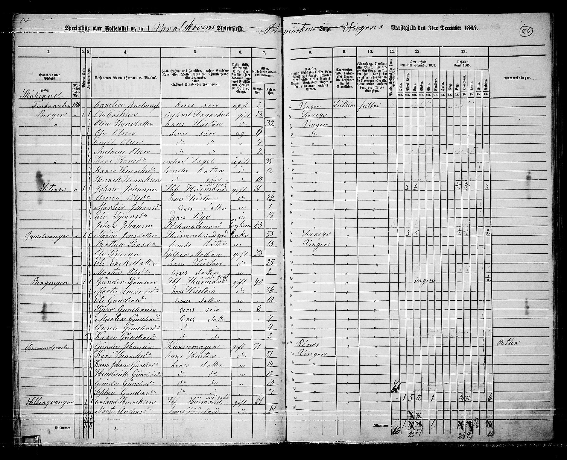 RA, 1865 census for Vinger/Vinger og Austmarka, 1865, p. 74