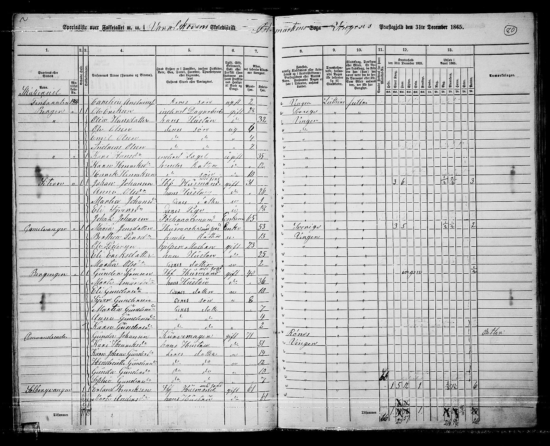 RA, 1865 census for Vinger/Vinger og Austmarka, 1865, p. 74