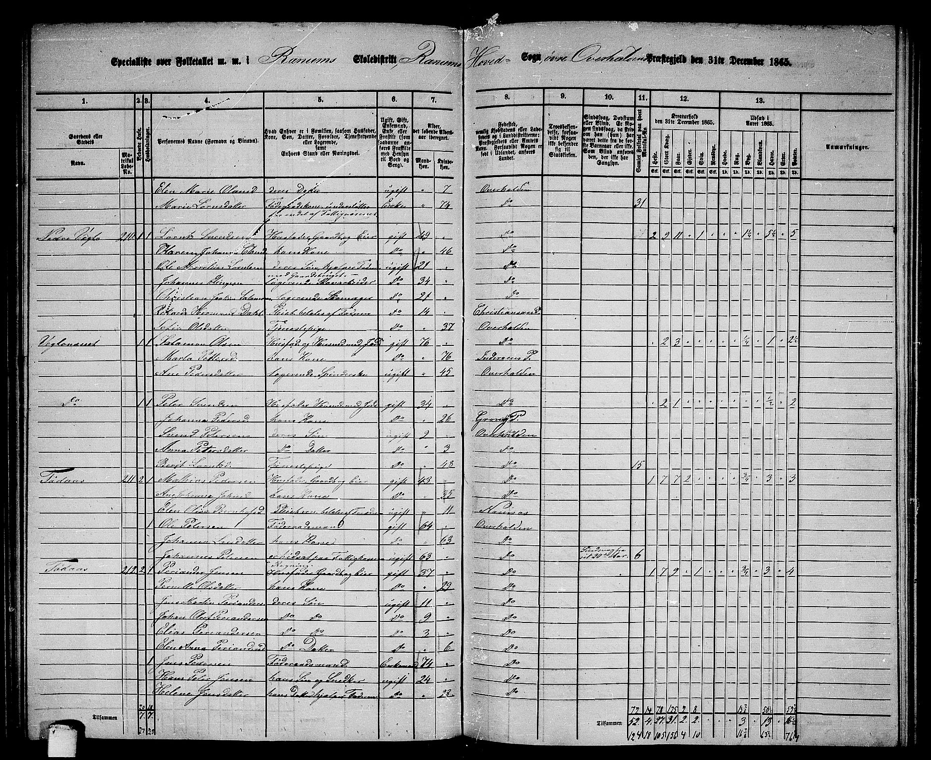 RA, 1865 census for Overhalla, 1865, p. 11