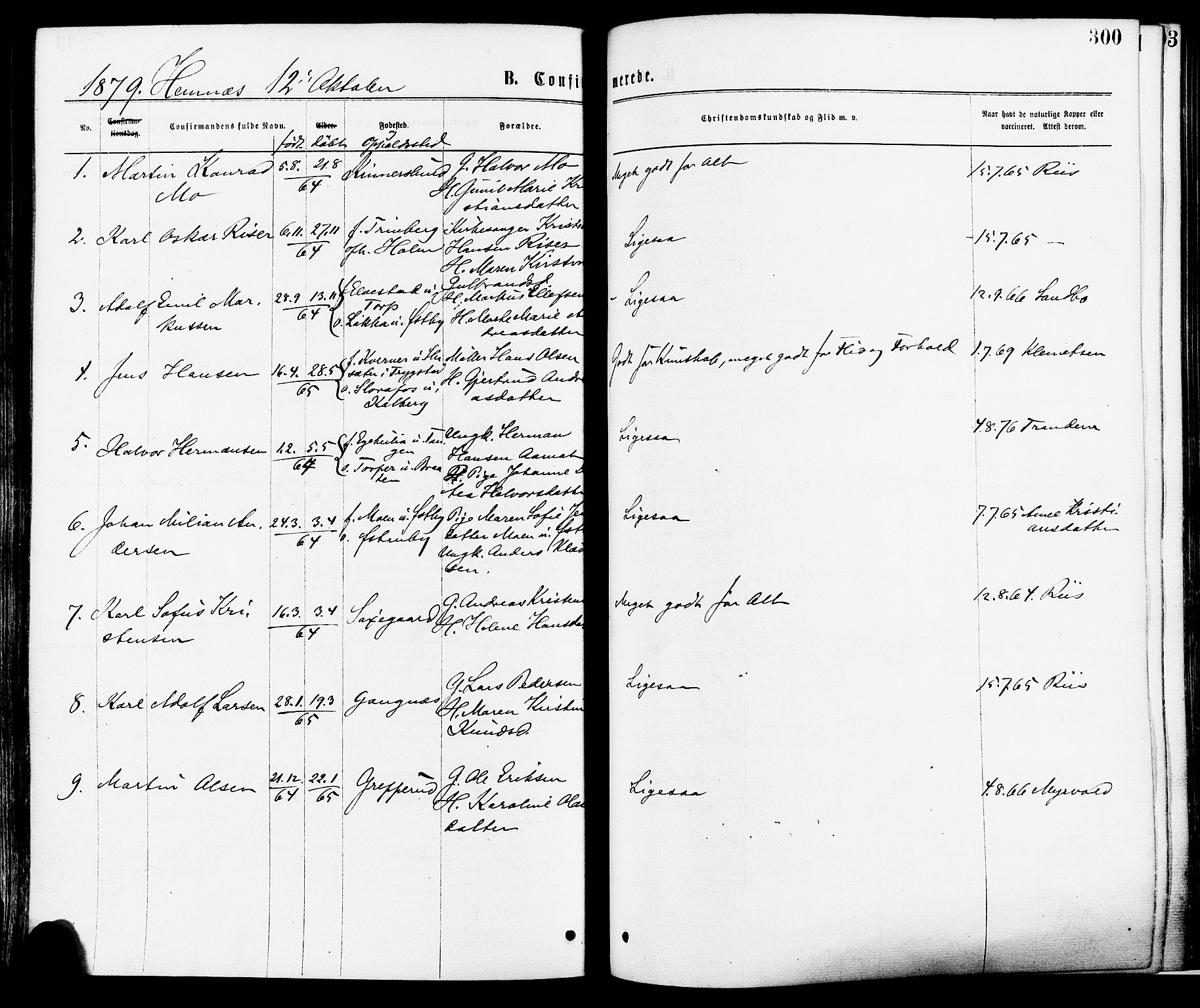 Høland prestekontor Kirkebøker, SAO/A-10346a/F/Fa/L0012.a: Parish register (official) no. I 12A, 1869-1879, p. 300