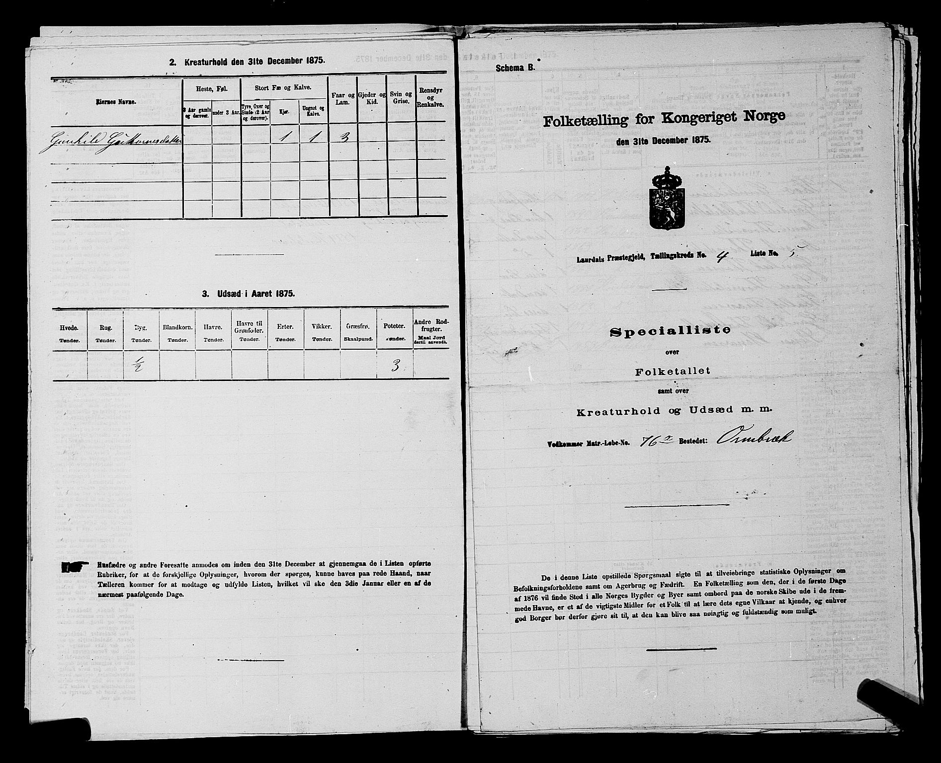 SAKO, 1875 census for 0833P Lårdal, 1875, p. 423