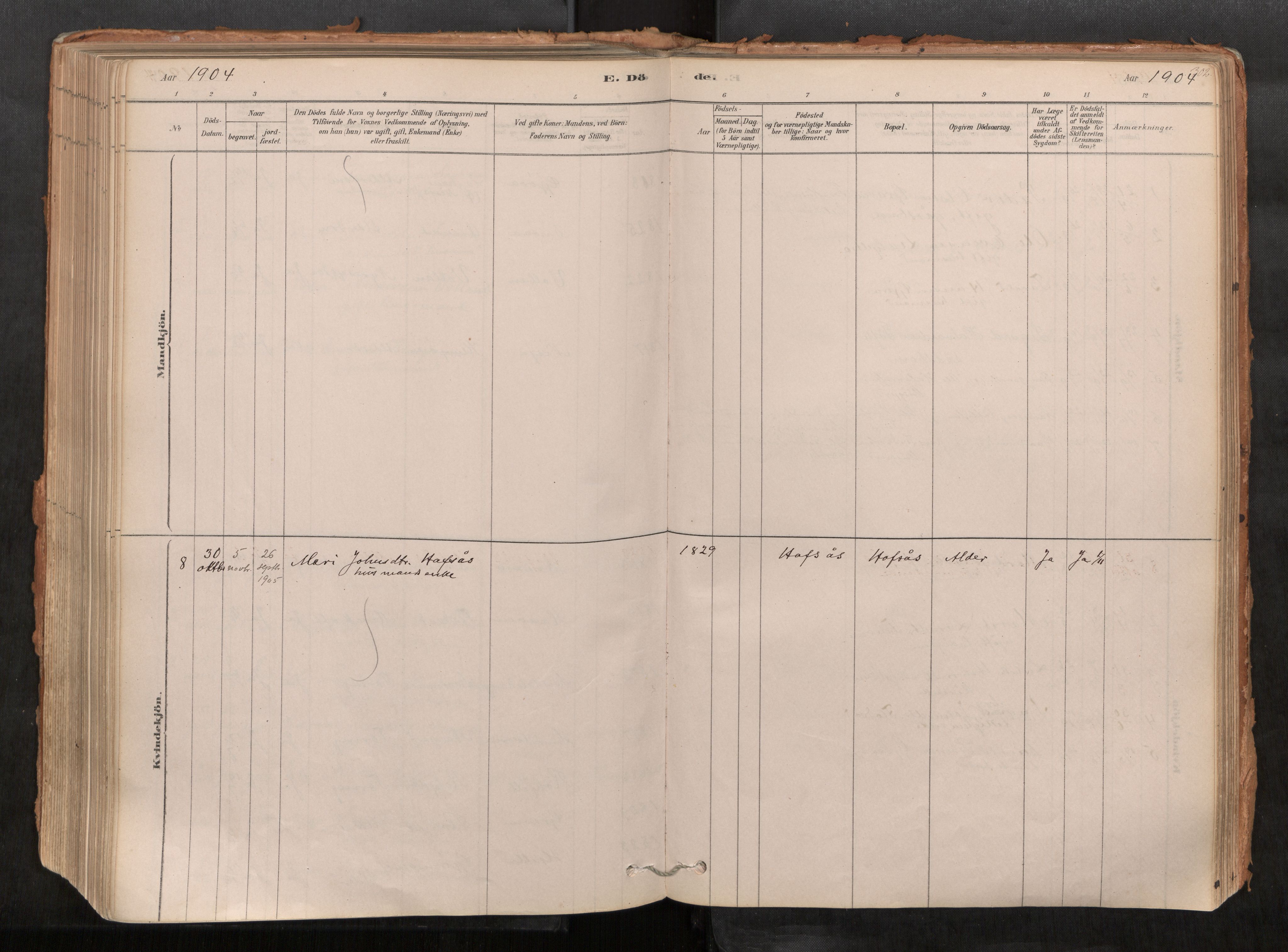 Sunndal sokneprestkontor, AV/SAT-A-1085/1/I/I1/I1a/L0001: Parish register (official) no. 1, 1877-1914, p. 302