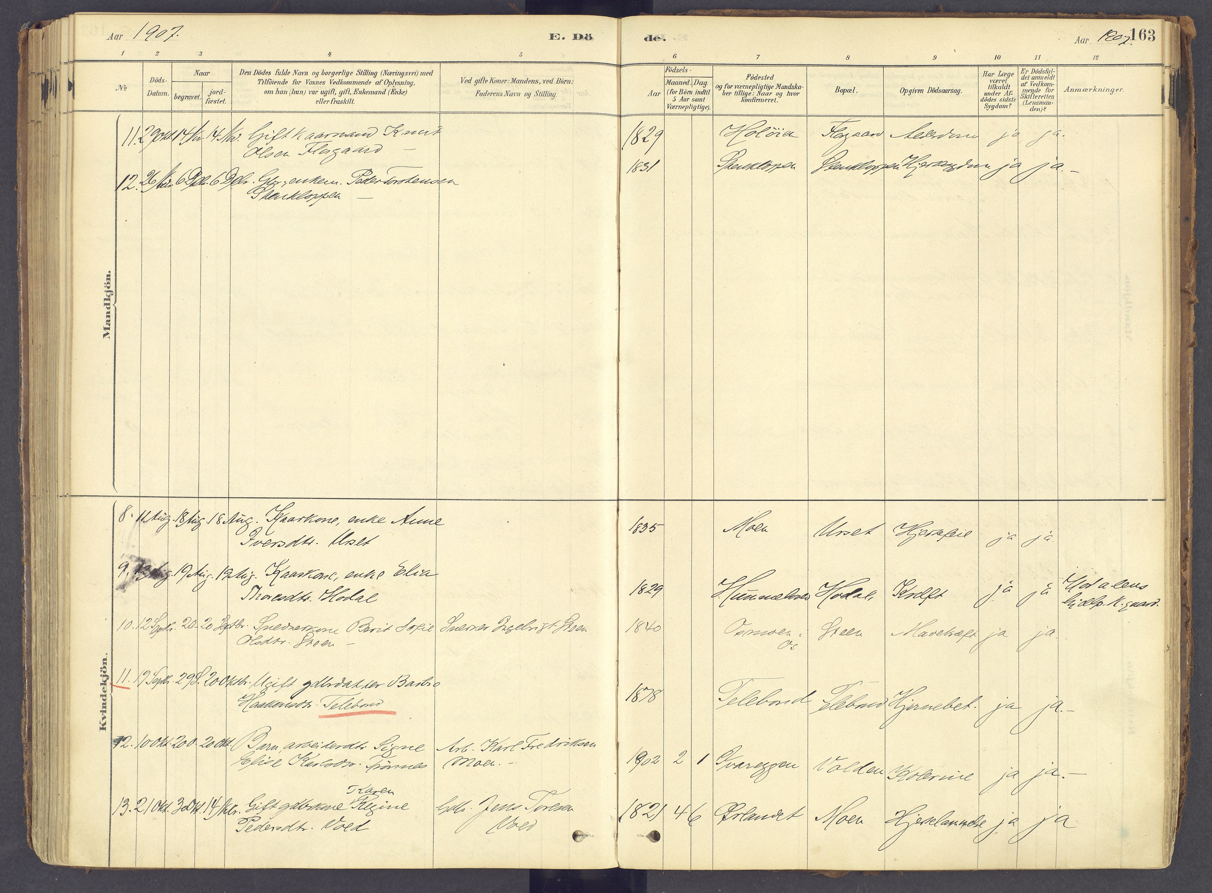 Tolga prestekontor, AV/SAH-PREST-062/K/L0011: Parish register (official) no. 11, 1877-1920, p. 163