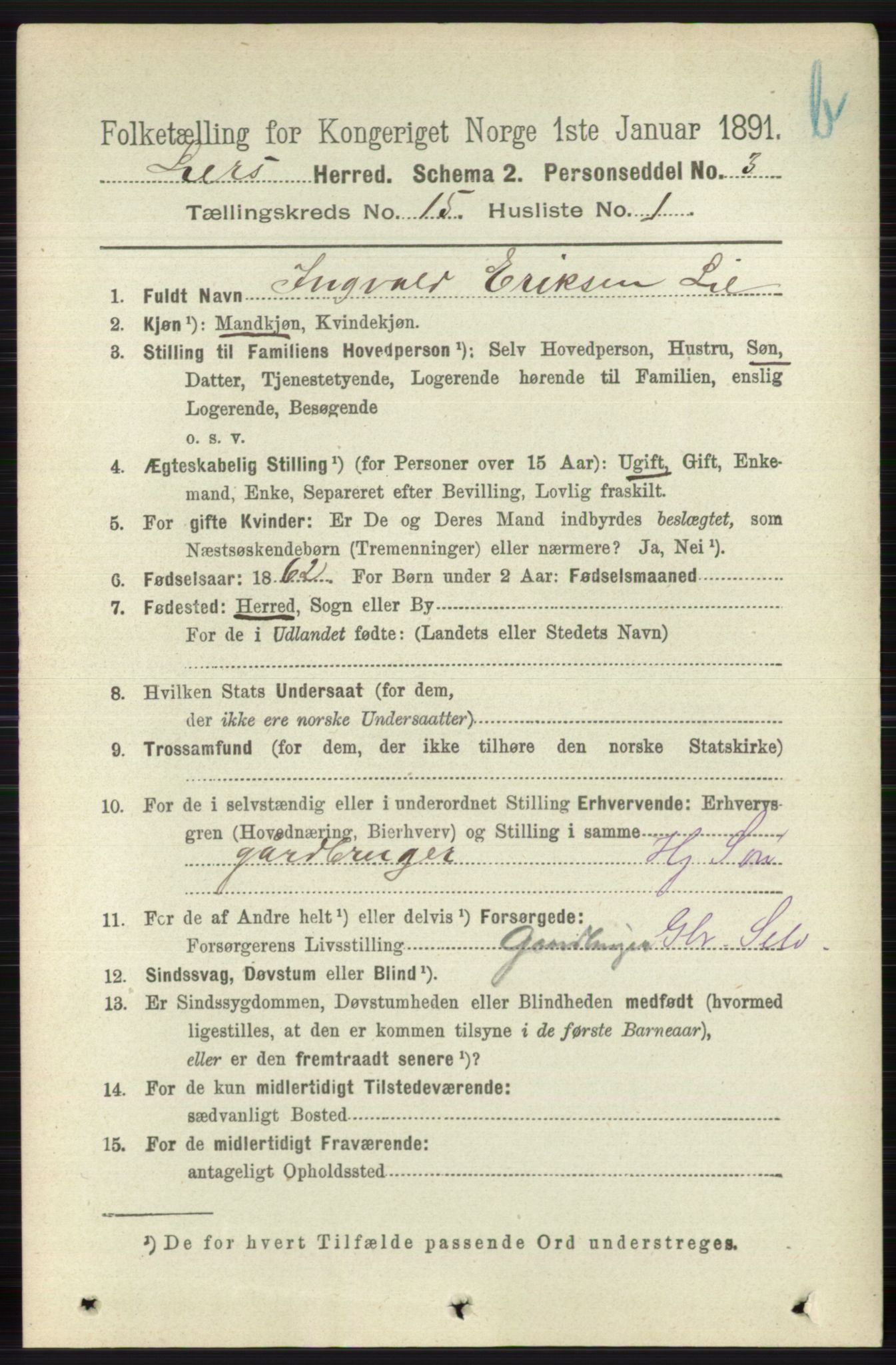 RA, 1891 census for 0626 Lier, 1891, p. 8712